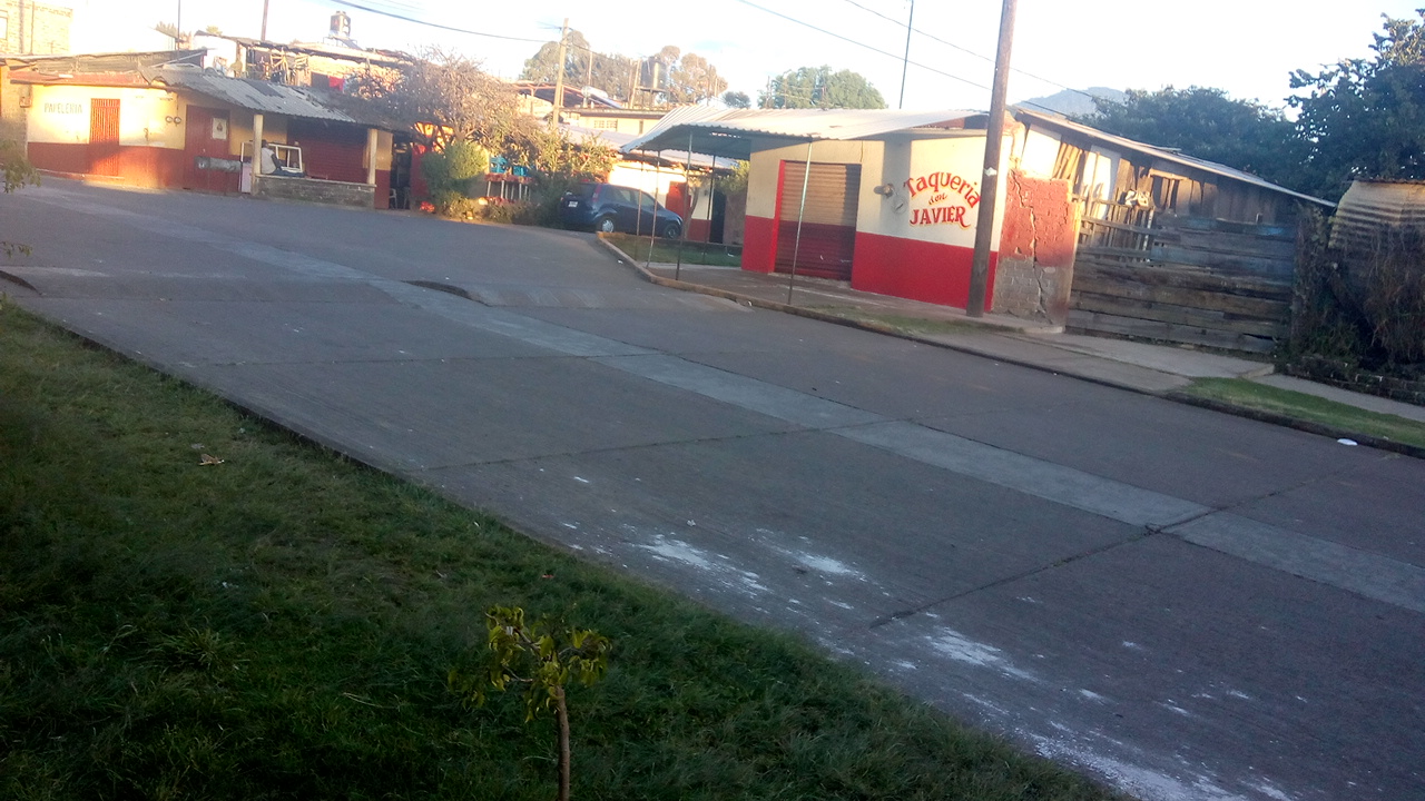 Taqueria Don Javier image 8