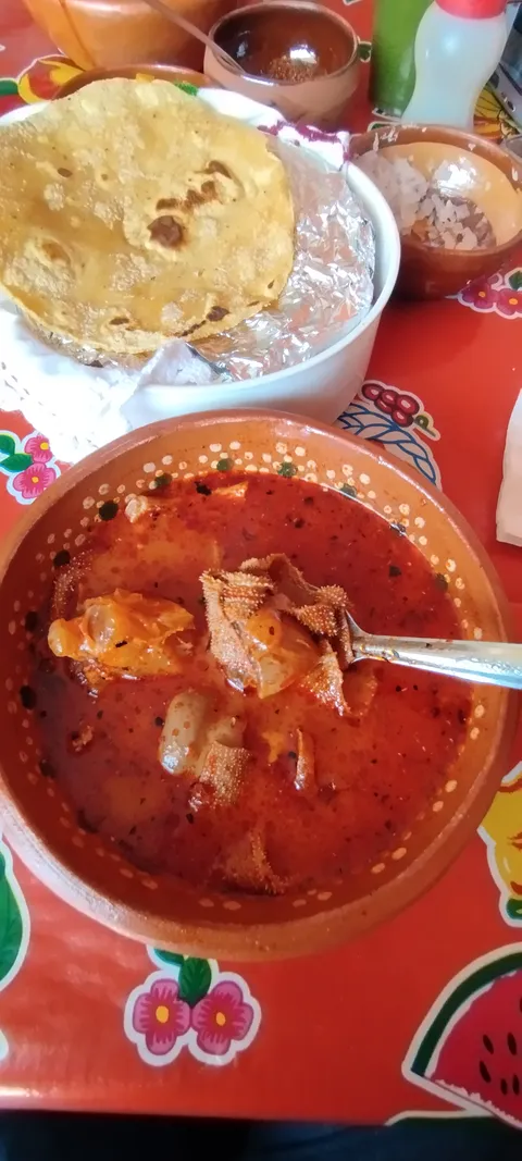 SAZÓN DE TIERRA CALIENTE image 2
