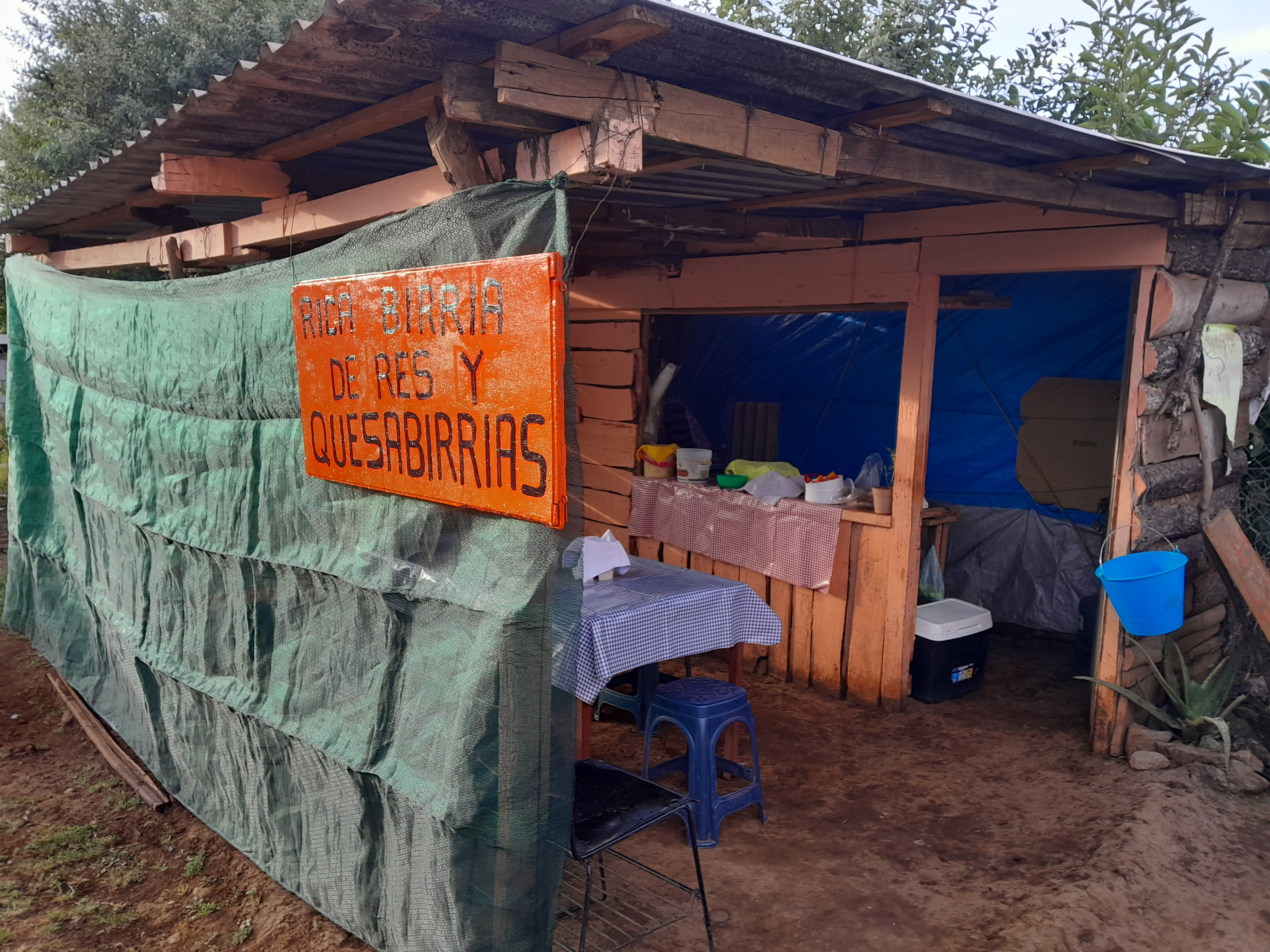 Quesabirrias Doña Amalia image 5