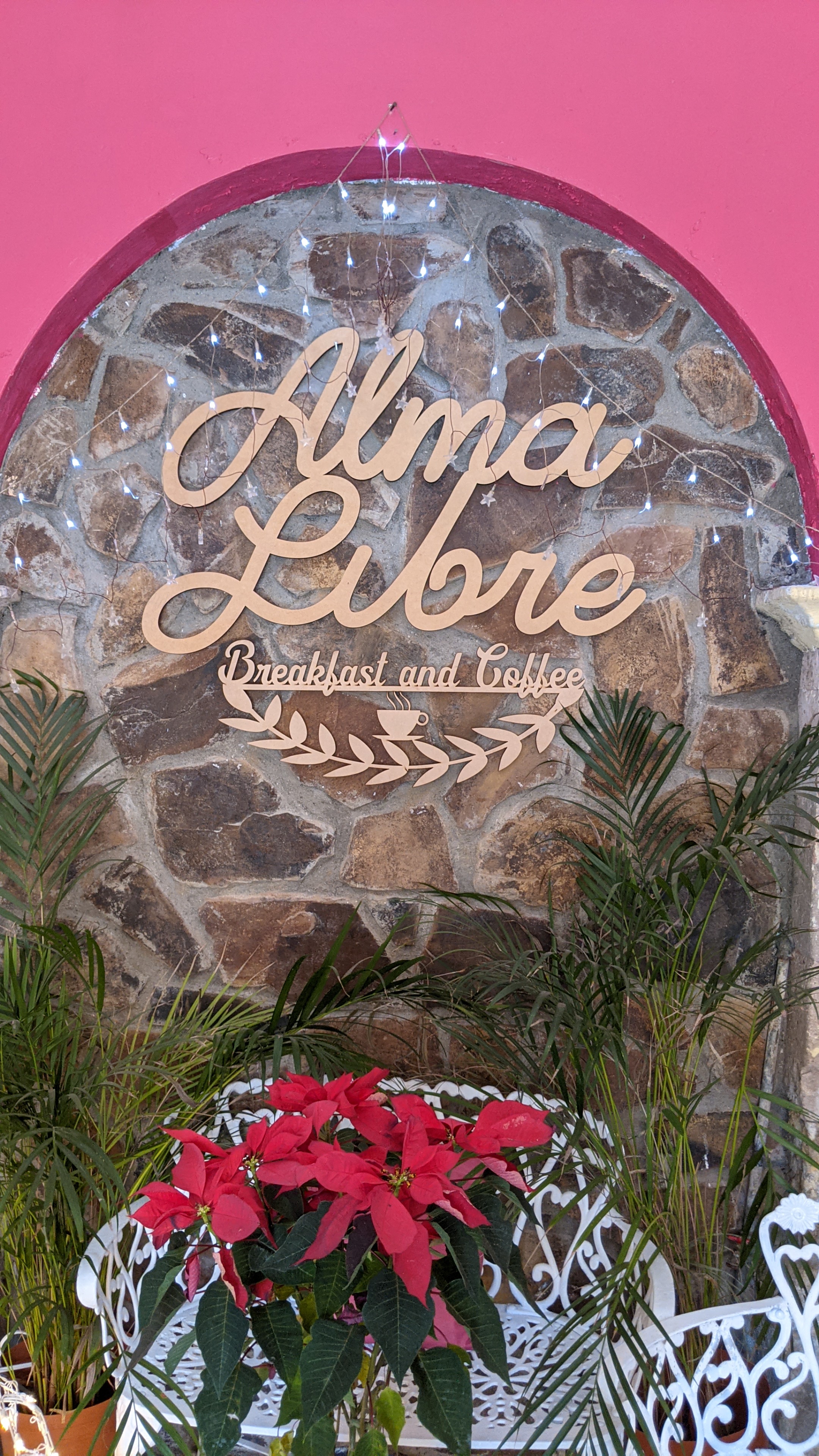 Alma Libre image 3