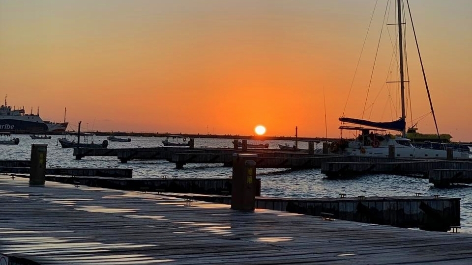 El agasajo del mar image 3