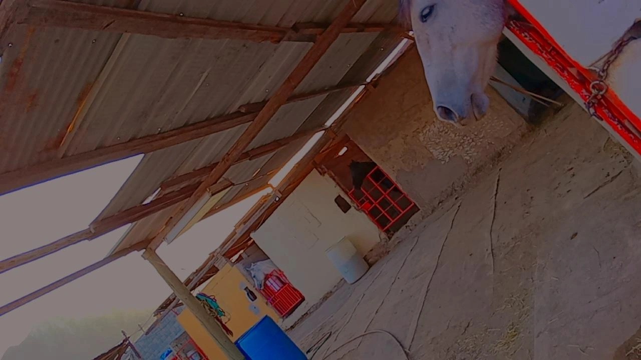 tacos la amistad image 2