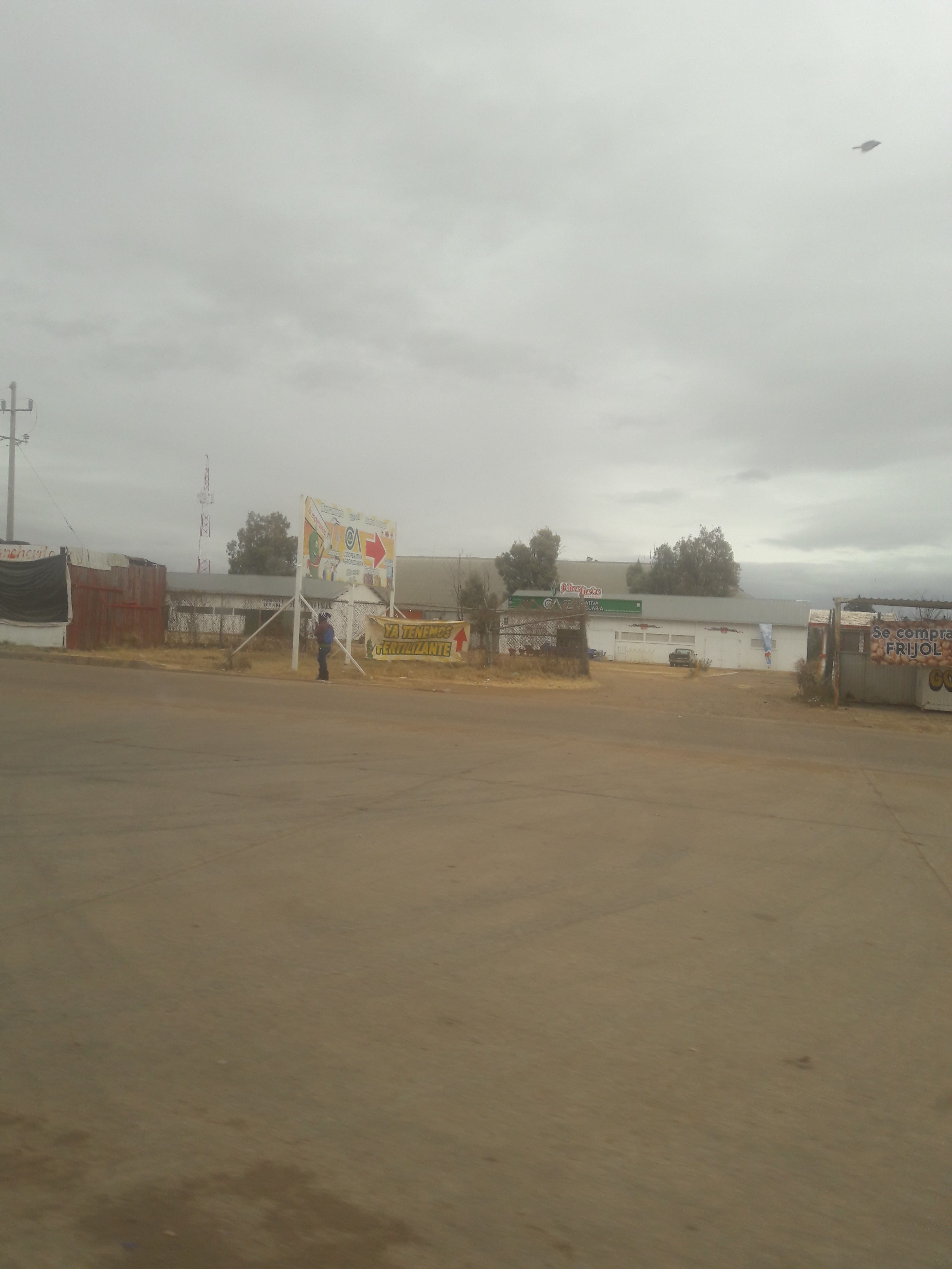 Cafeteria Mela image 8