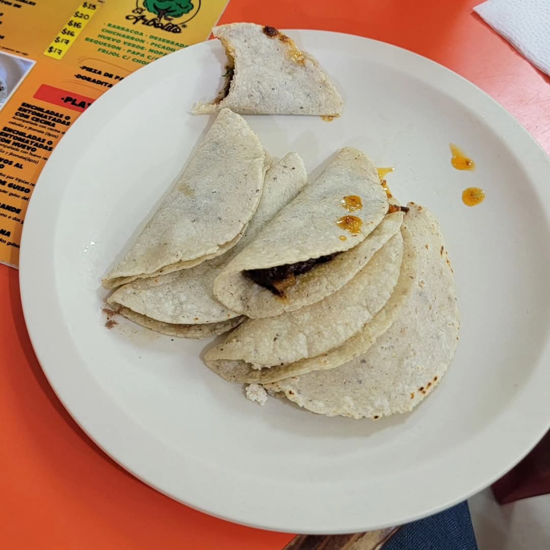 Taquería el Arbolito image 1