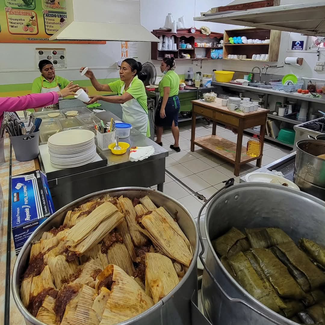 Taquería el Arbolito image 7