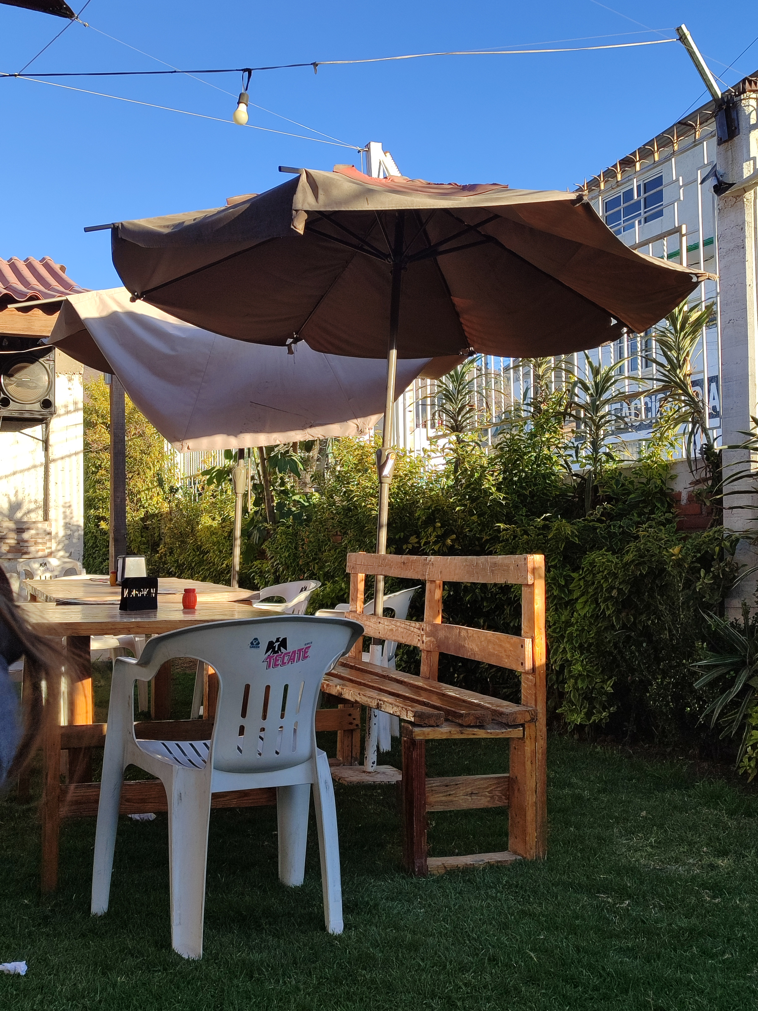 El Agave, Comida Y Bebidas image 1