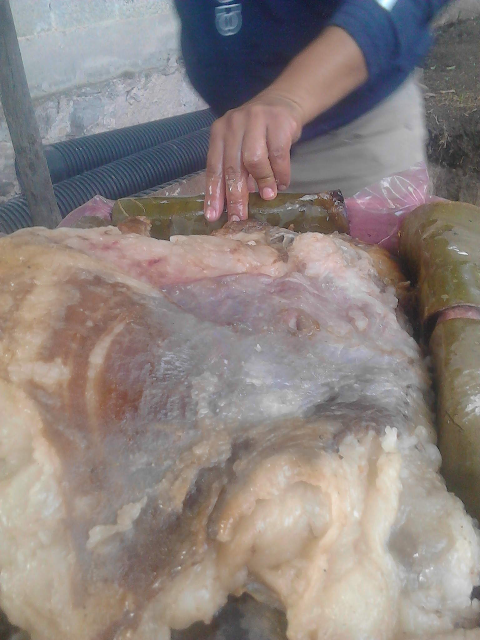 BARBACOA "EL BORREGO TIERNO" image 3