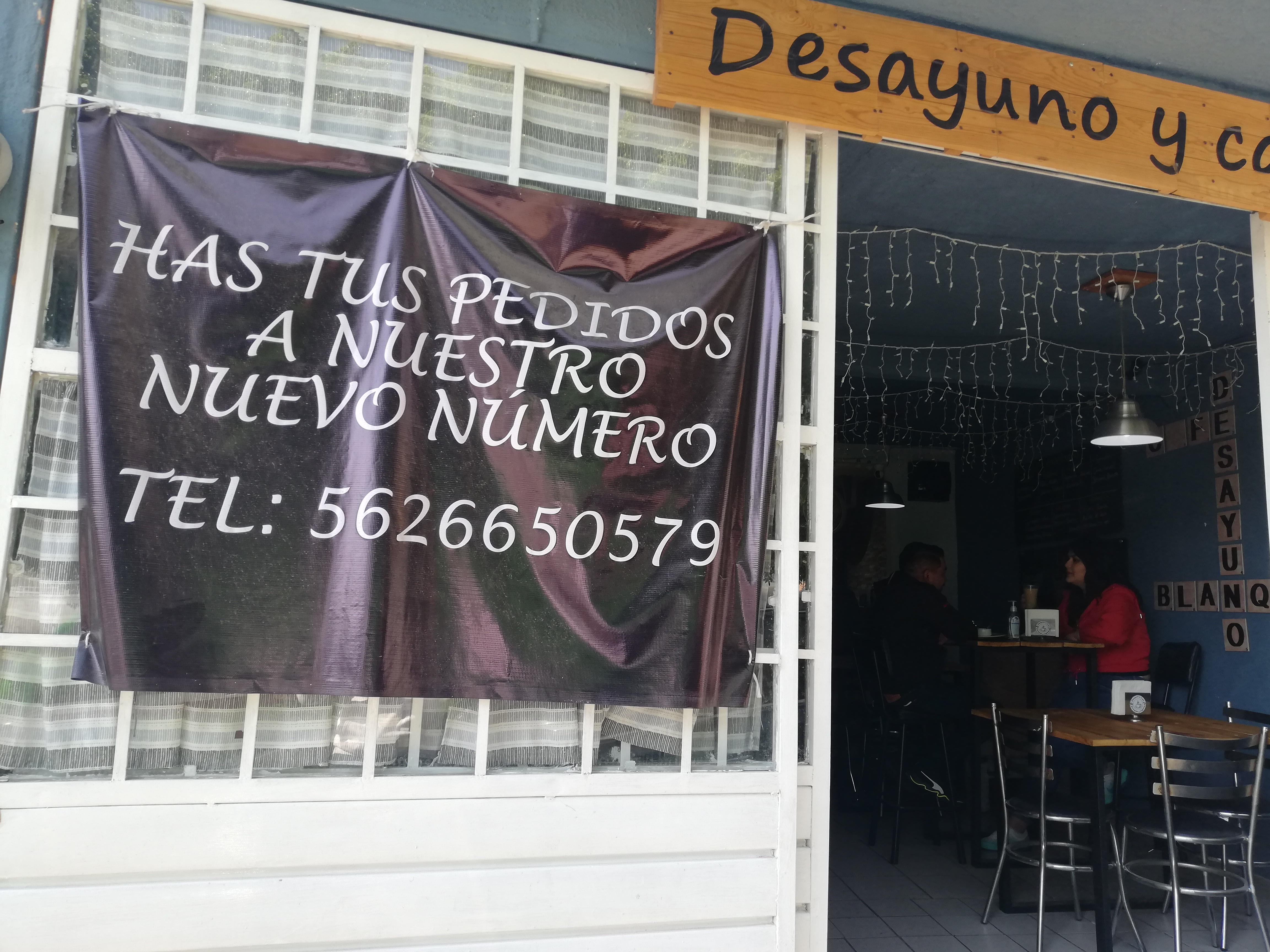 Blanquito y Cafecito image 6