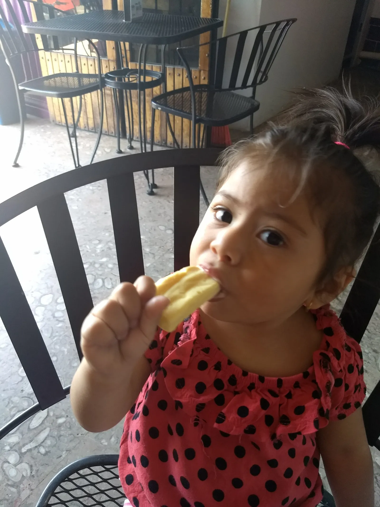 Tacos El Primo. image 7