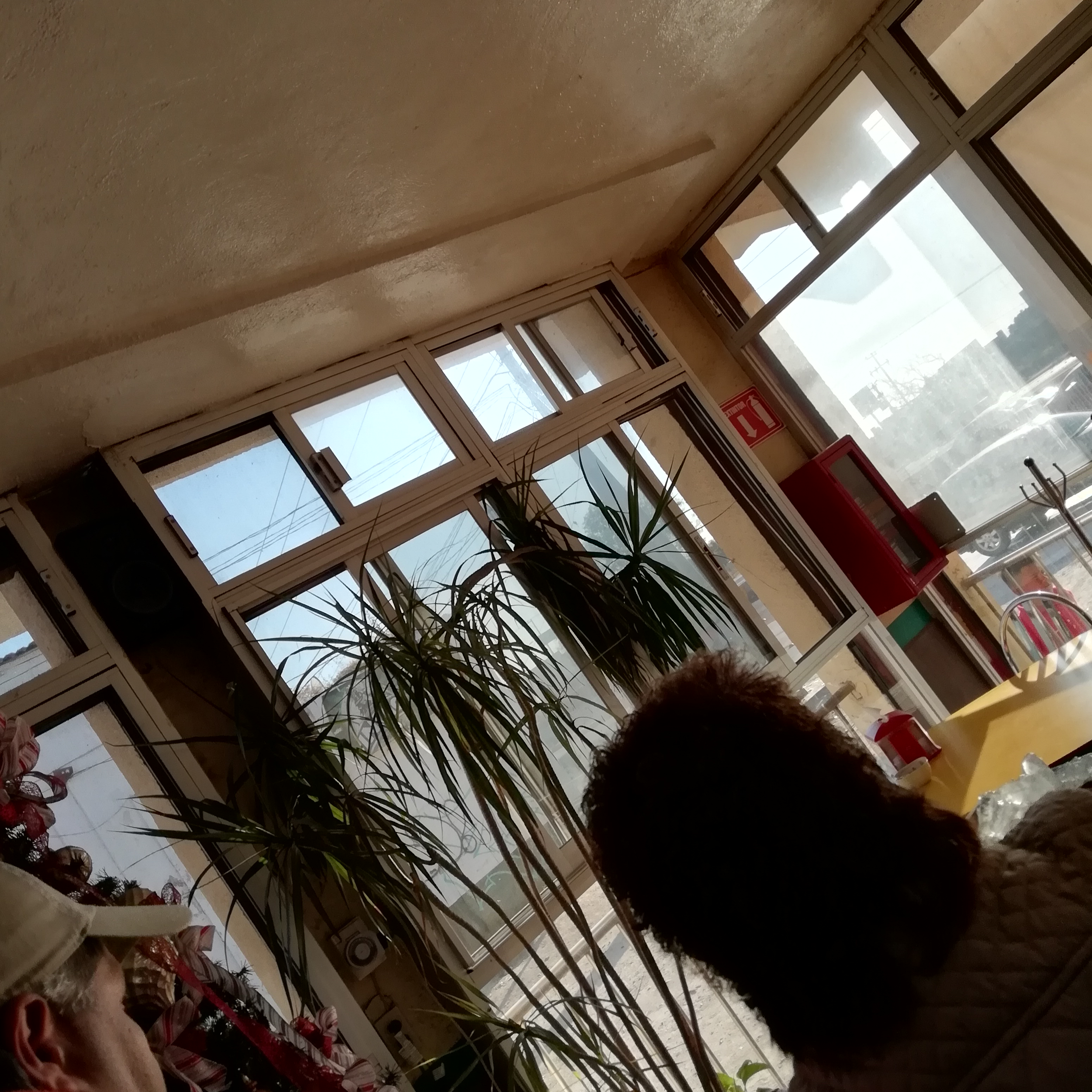 Pollo Feliz, Suc. Libramiento image 4