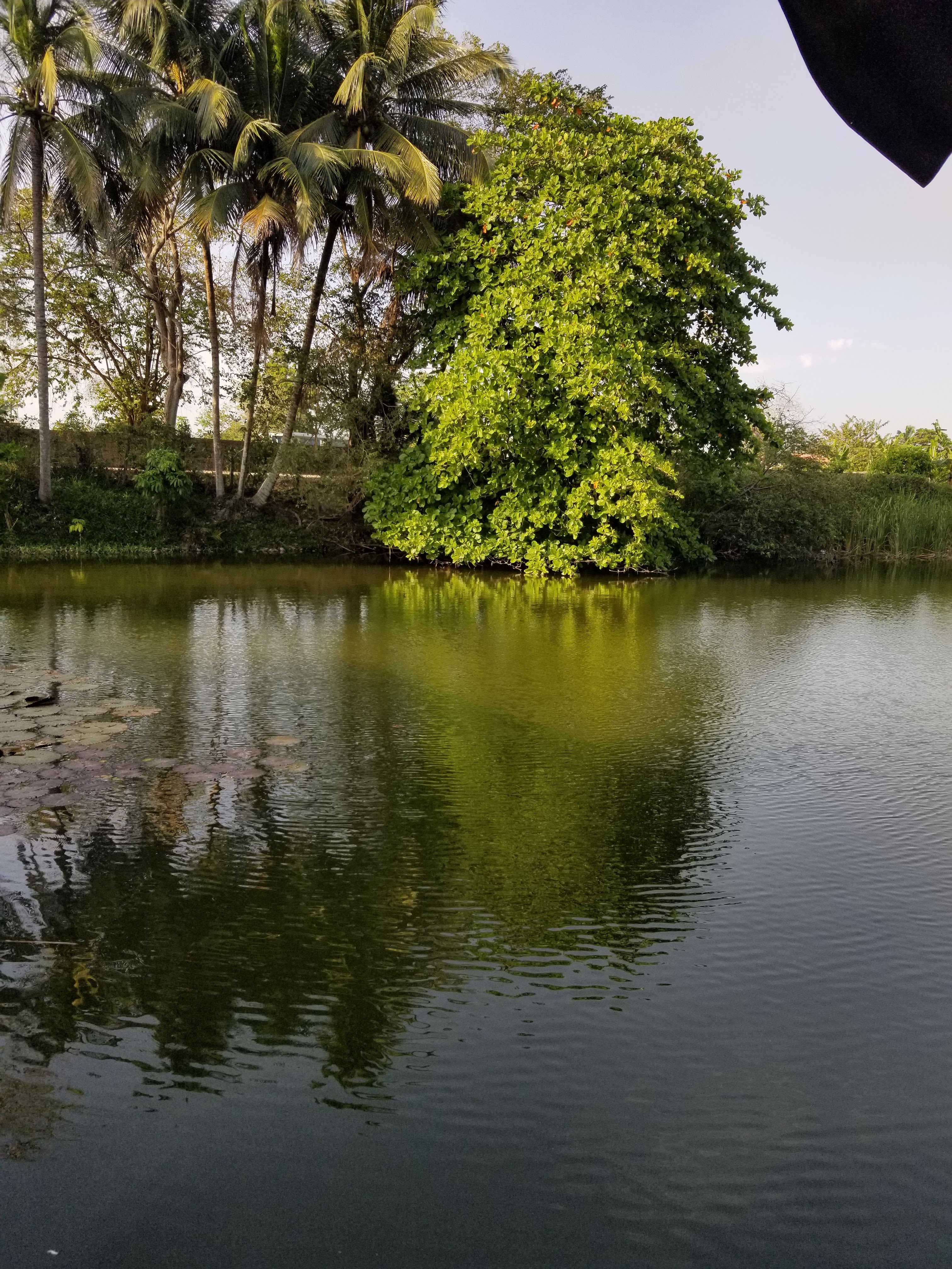 La Palapa del Chinin image 5