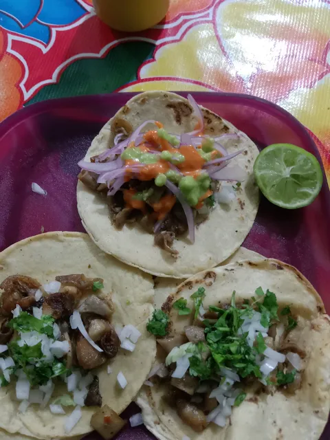 Cenaduria gema image 1