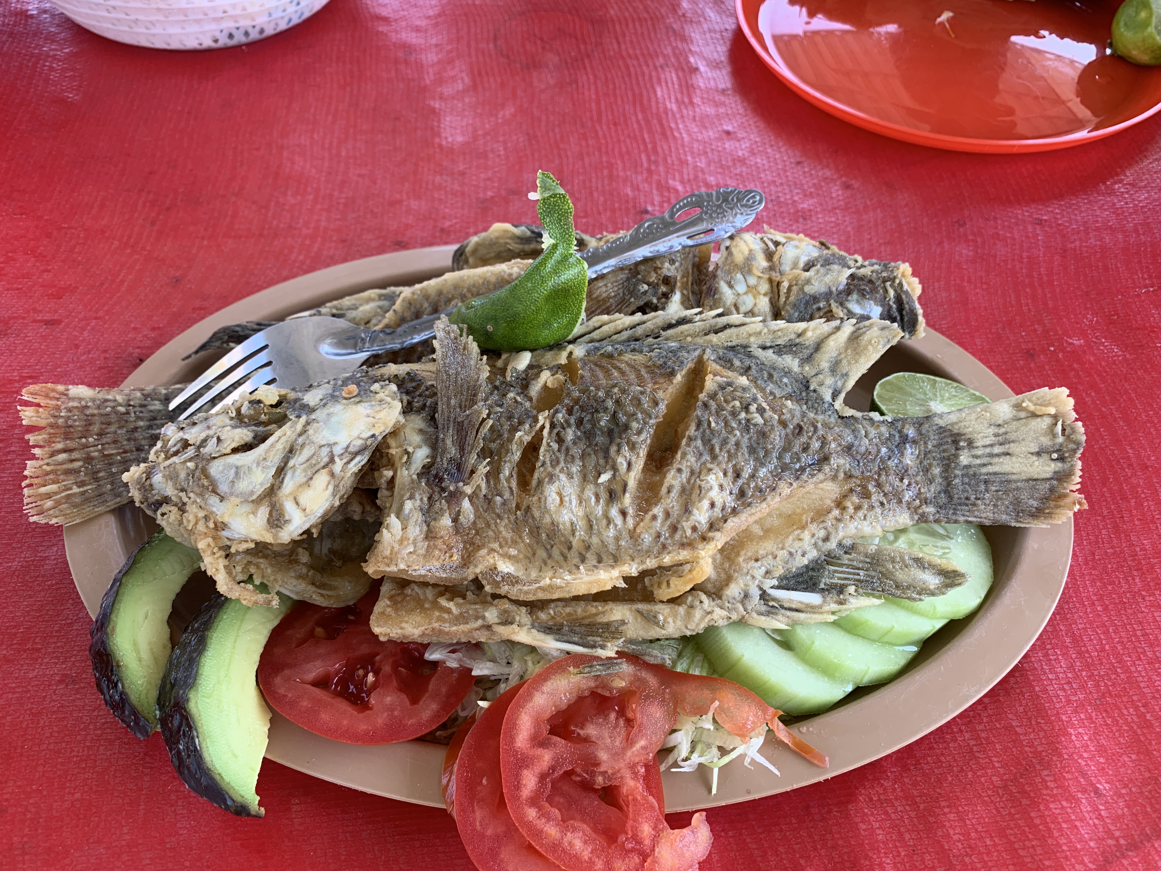 Estanques "La palma" image 2