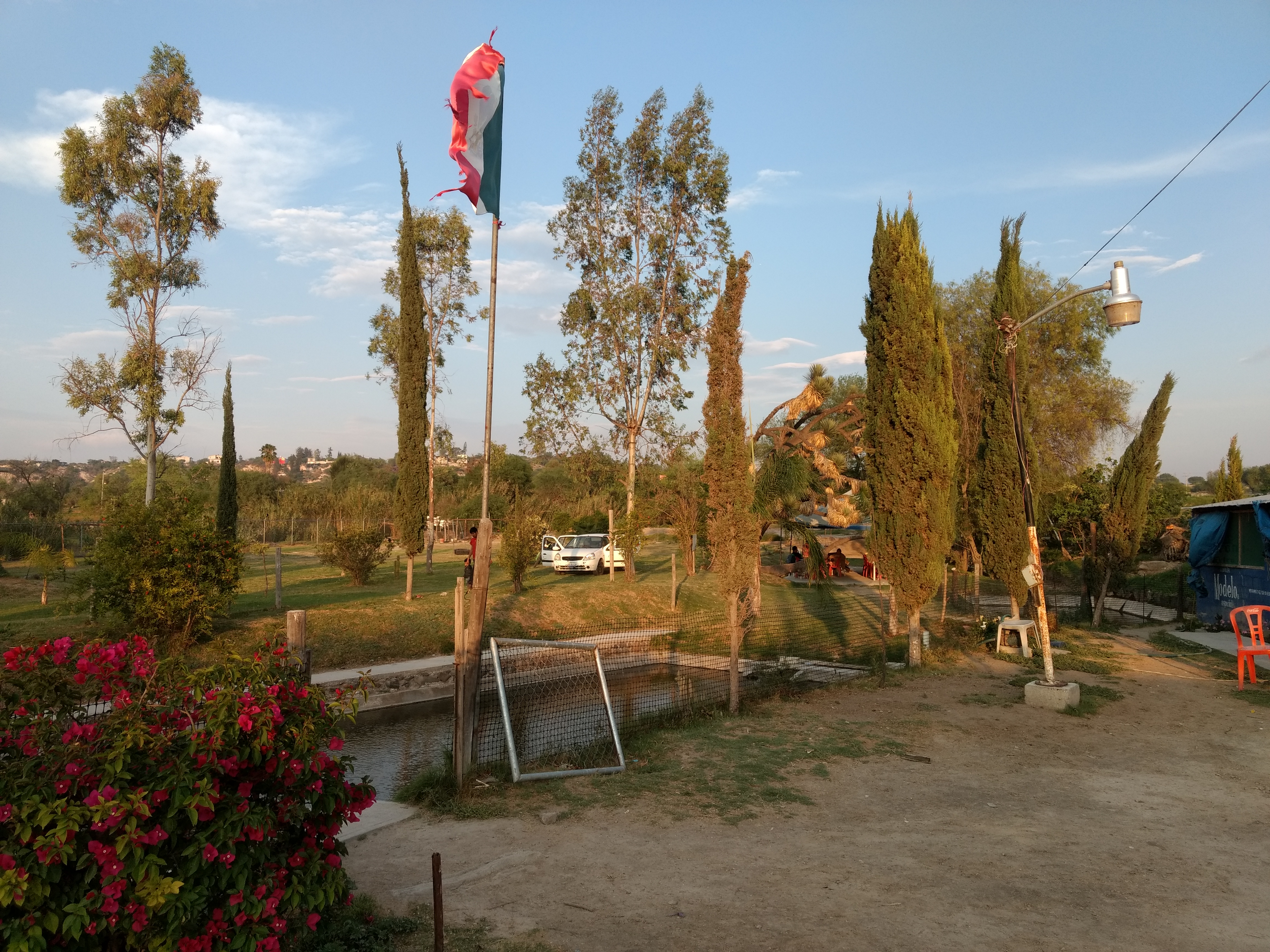 Estanques "La palma" image 5