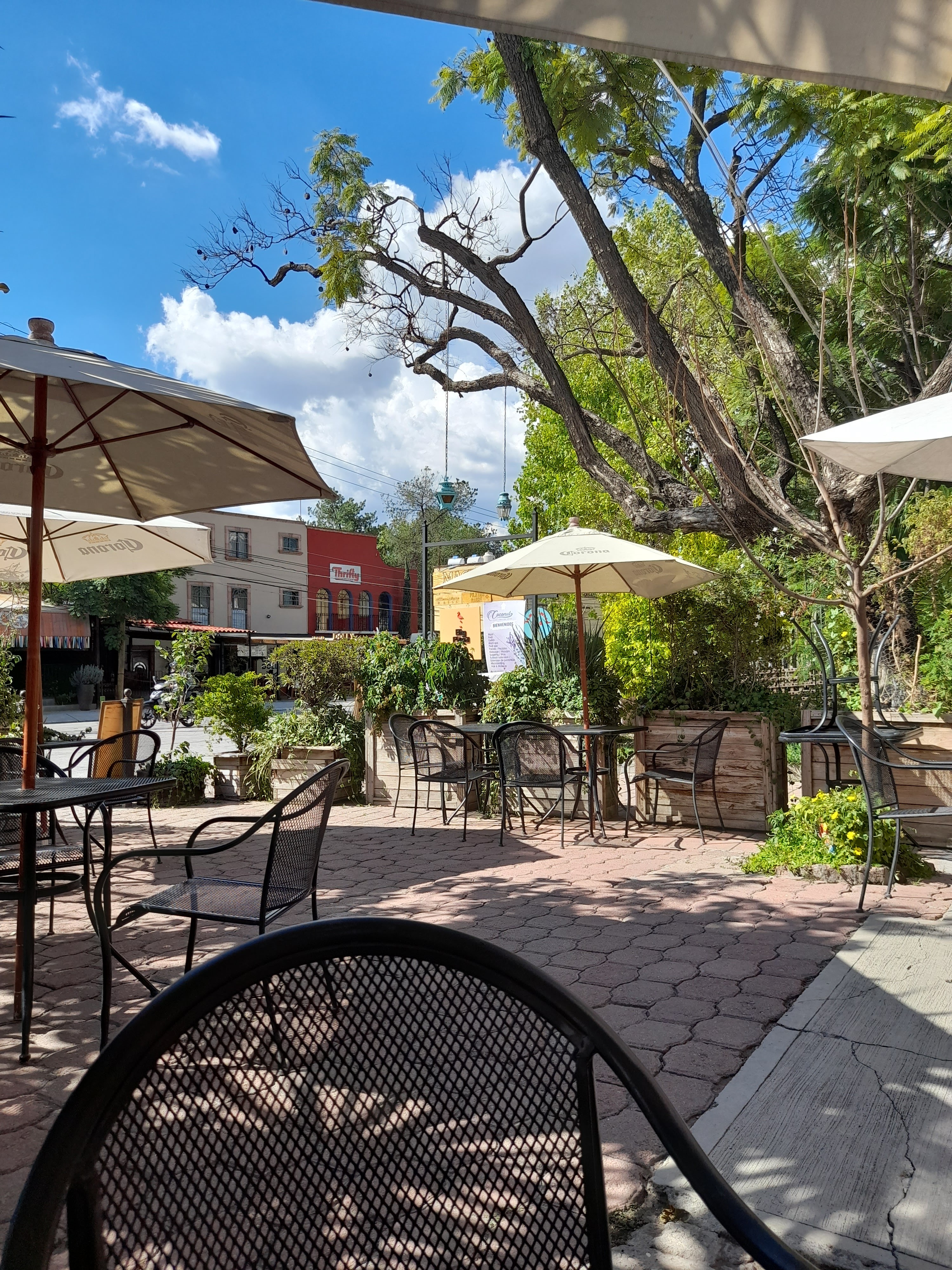 Don Lupe Grill image 6