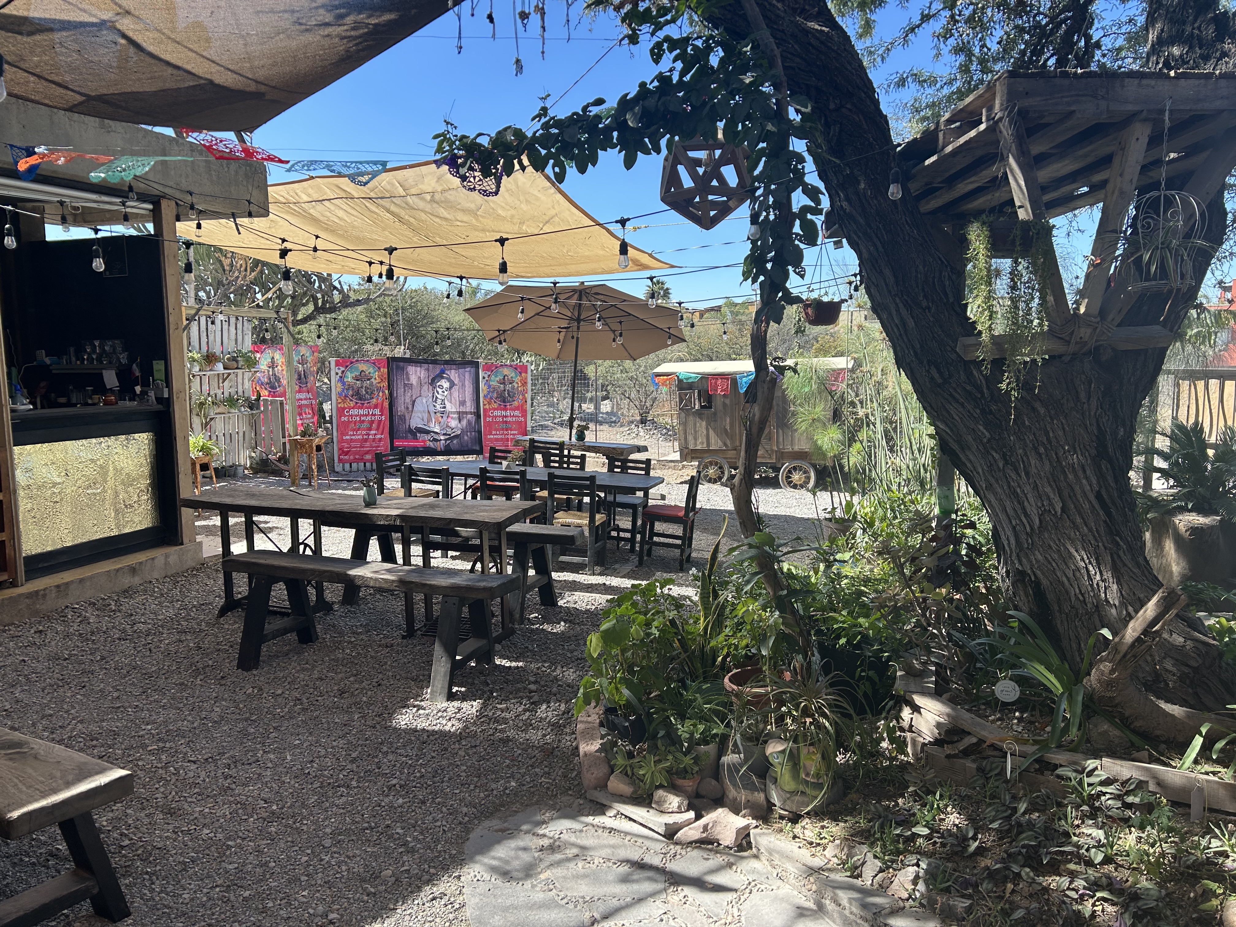 Trino Restaurante image 2