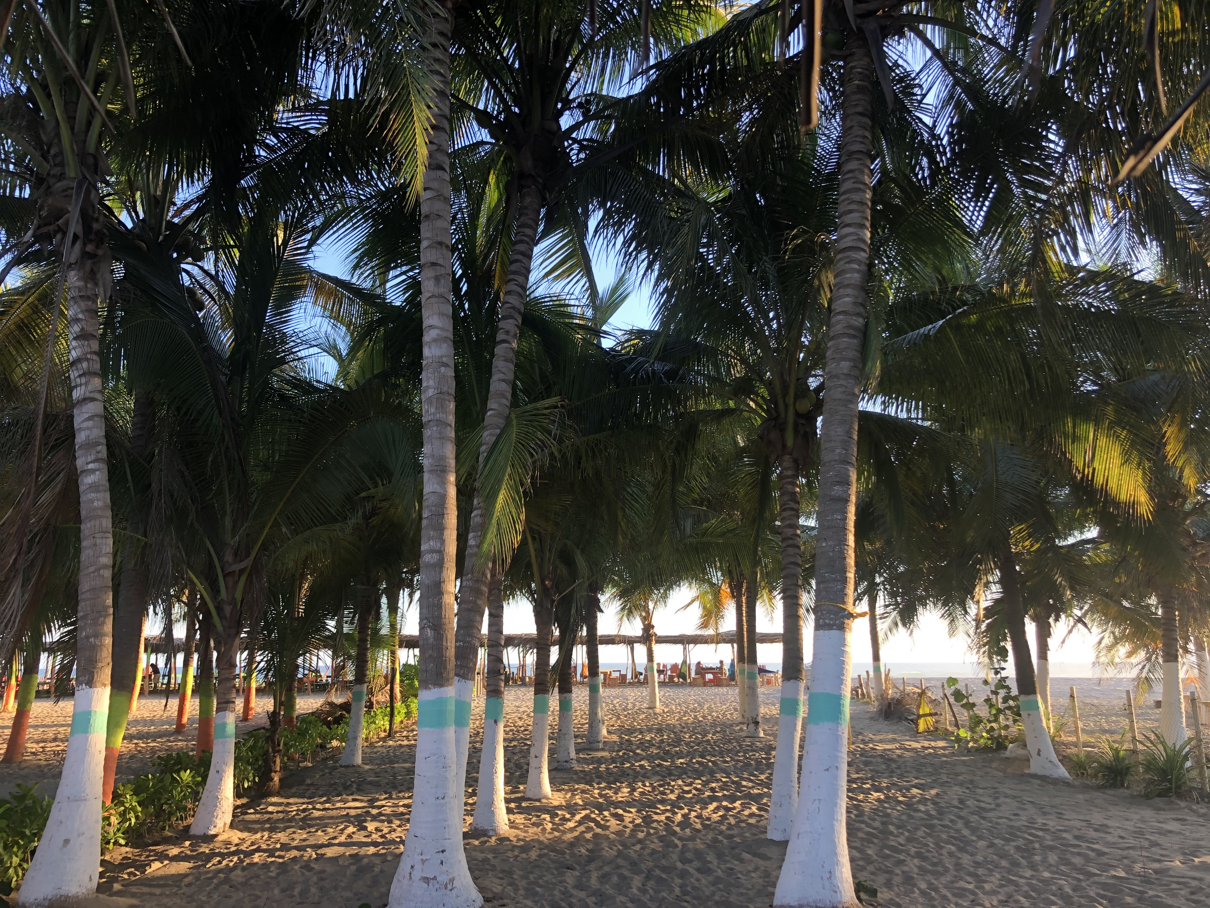 Restauran El Compadre image 4