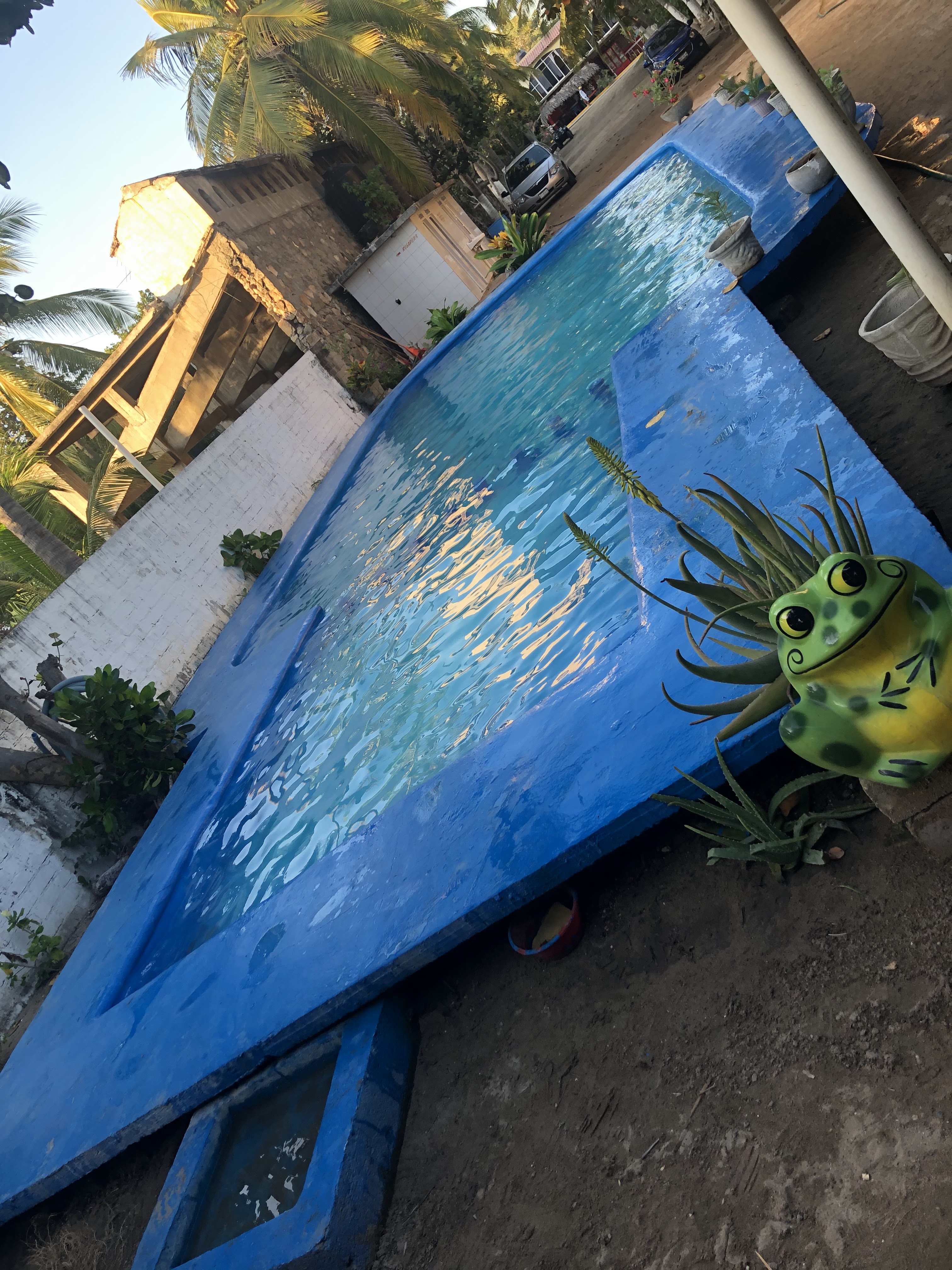 Restauran El Compadre image 7