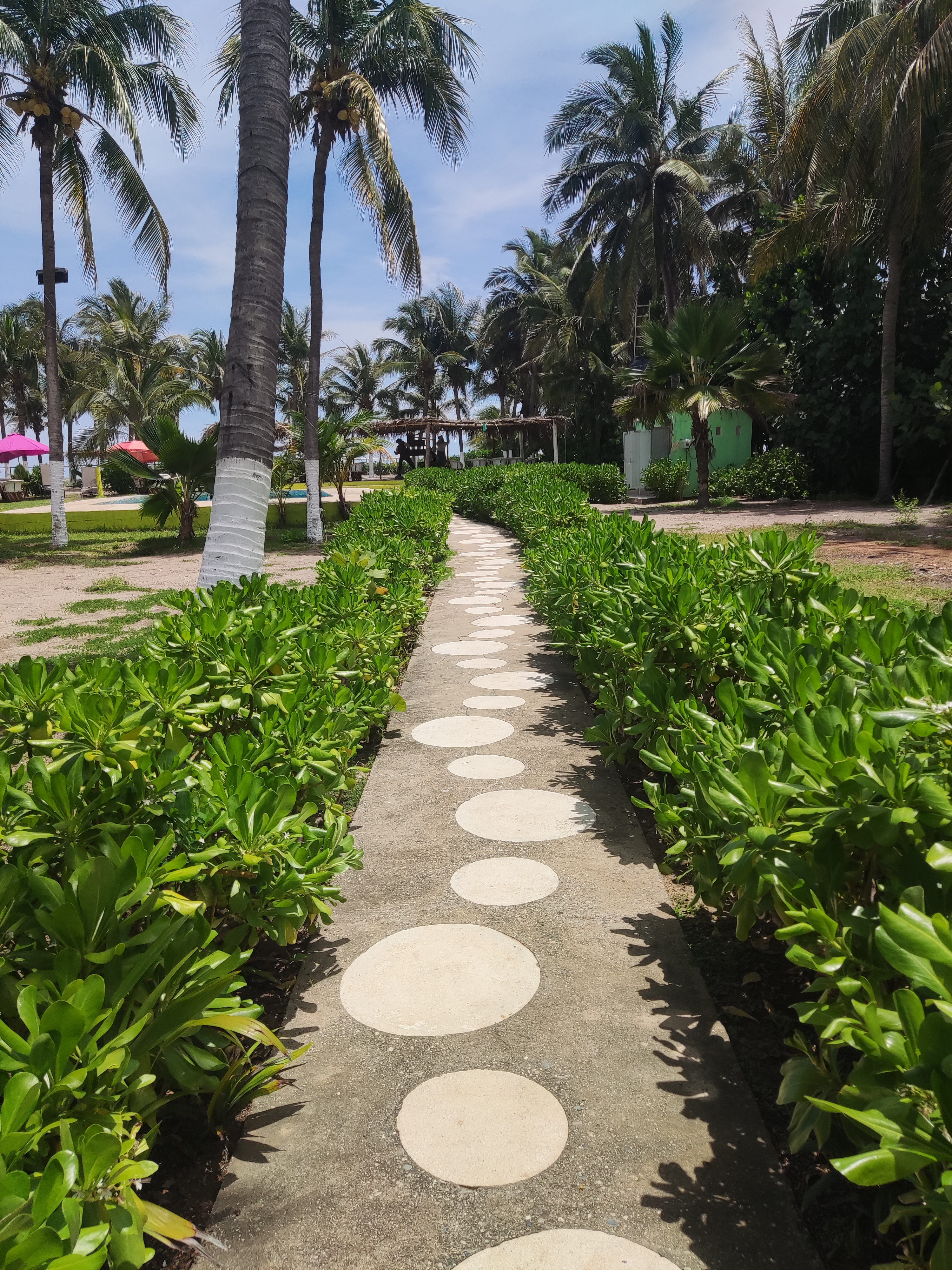 Restaurante Real del Sol image 7