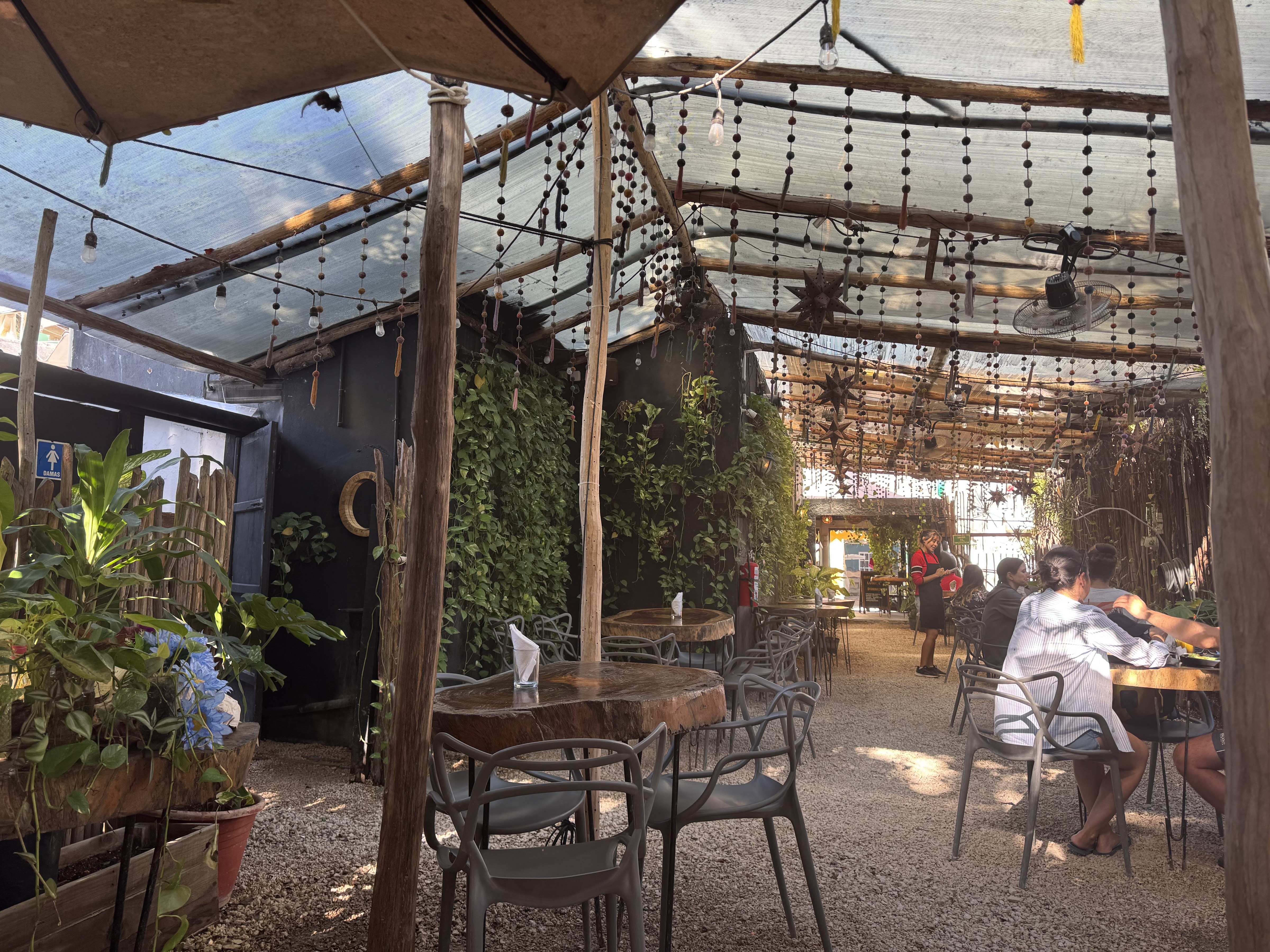 Arte Sano, breakfast, Brunch & Dinner image 7