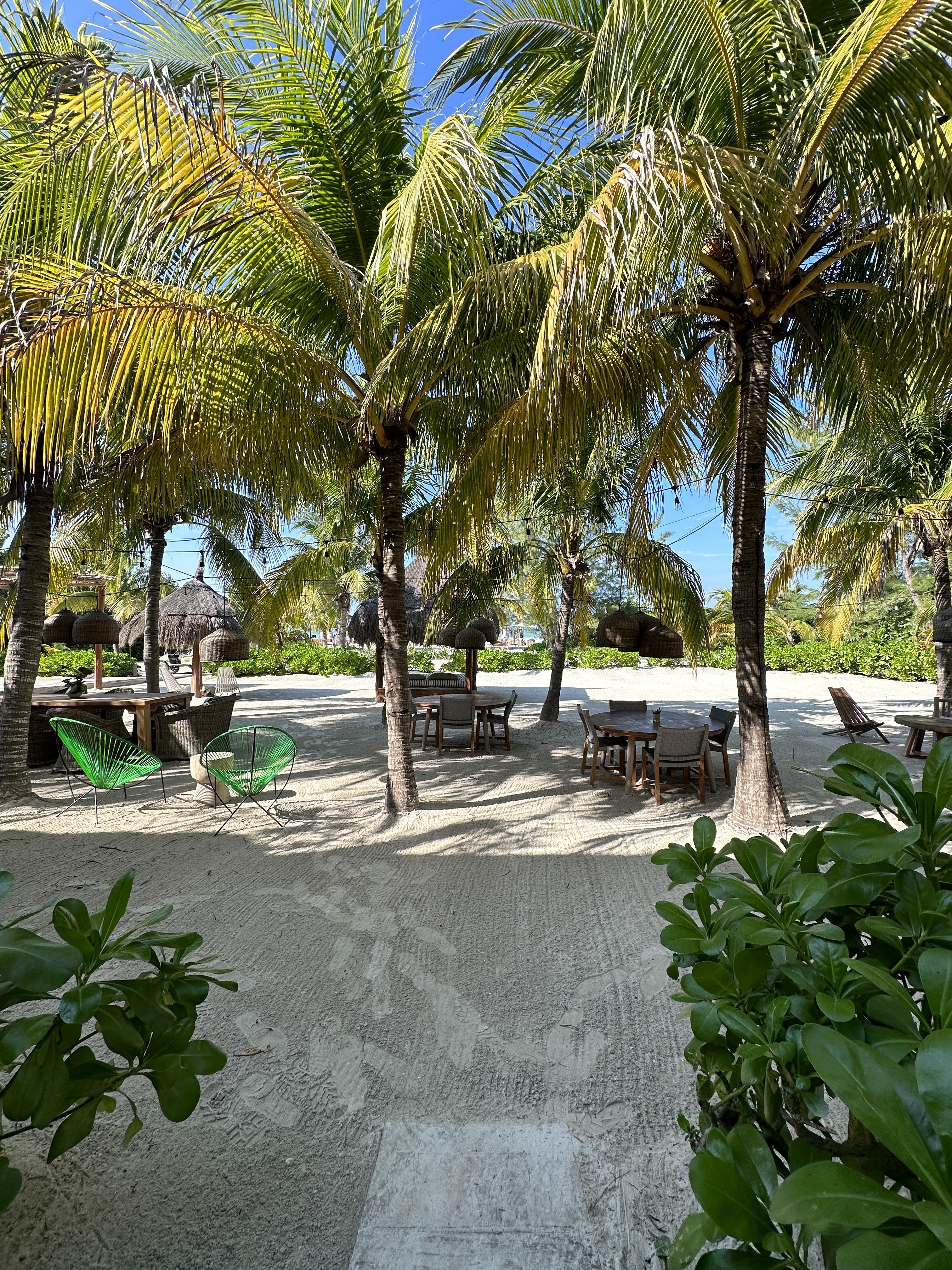 Ser Esencia Restaurant image 9