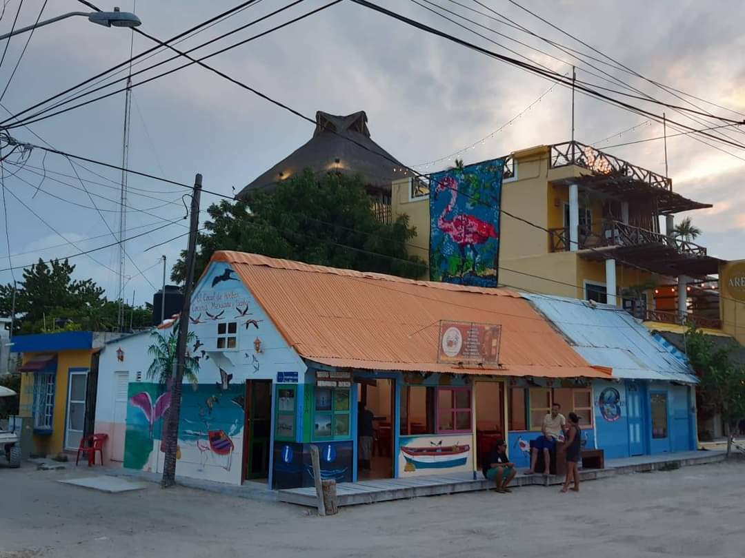 EL COCAL DE HOLBOX image 4