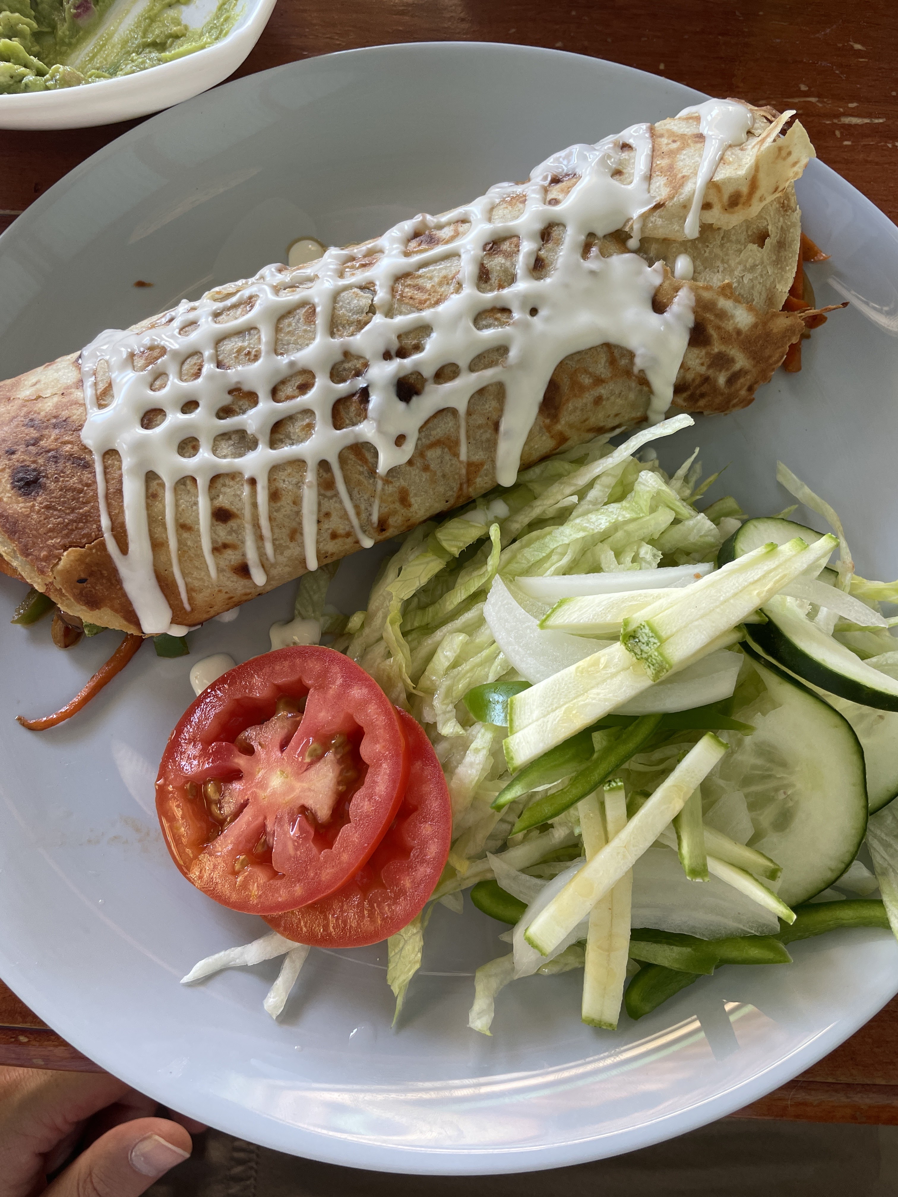 EL COCAL DE HOLBOX image 10