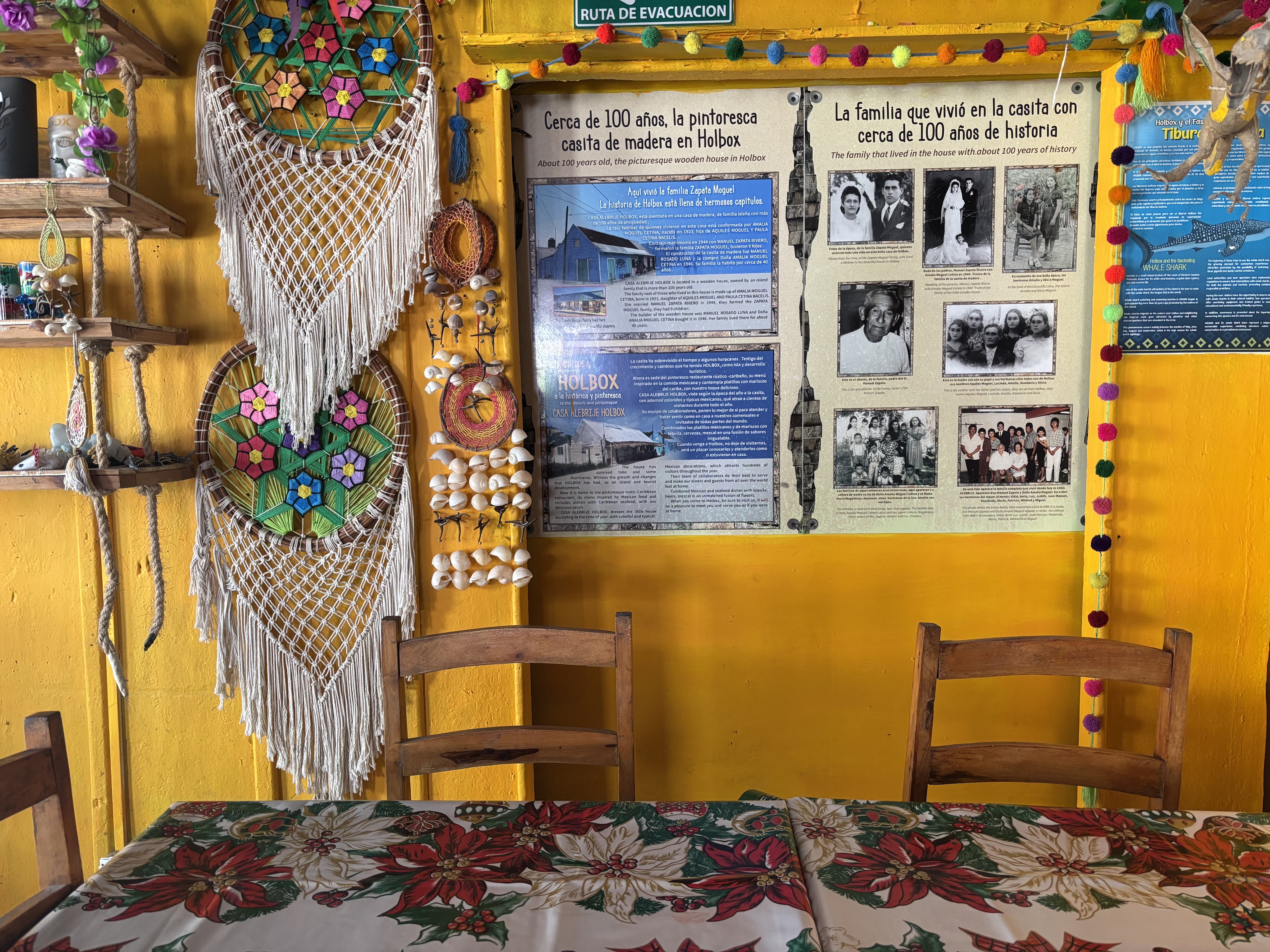 Casa Alebrije image 2