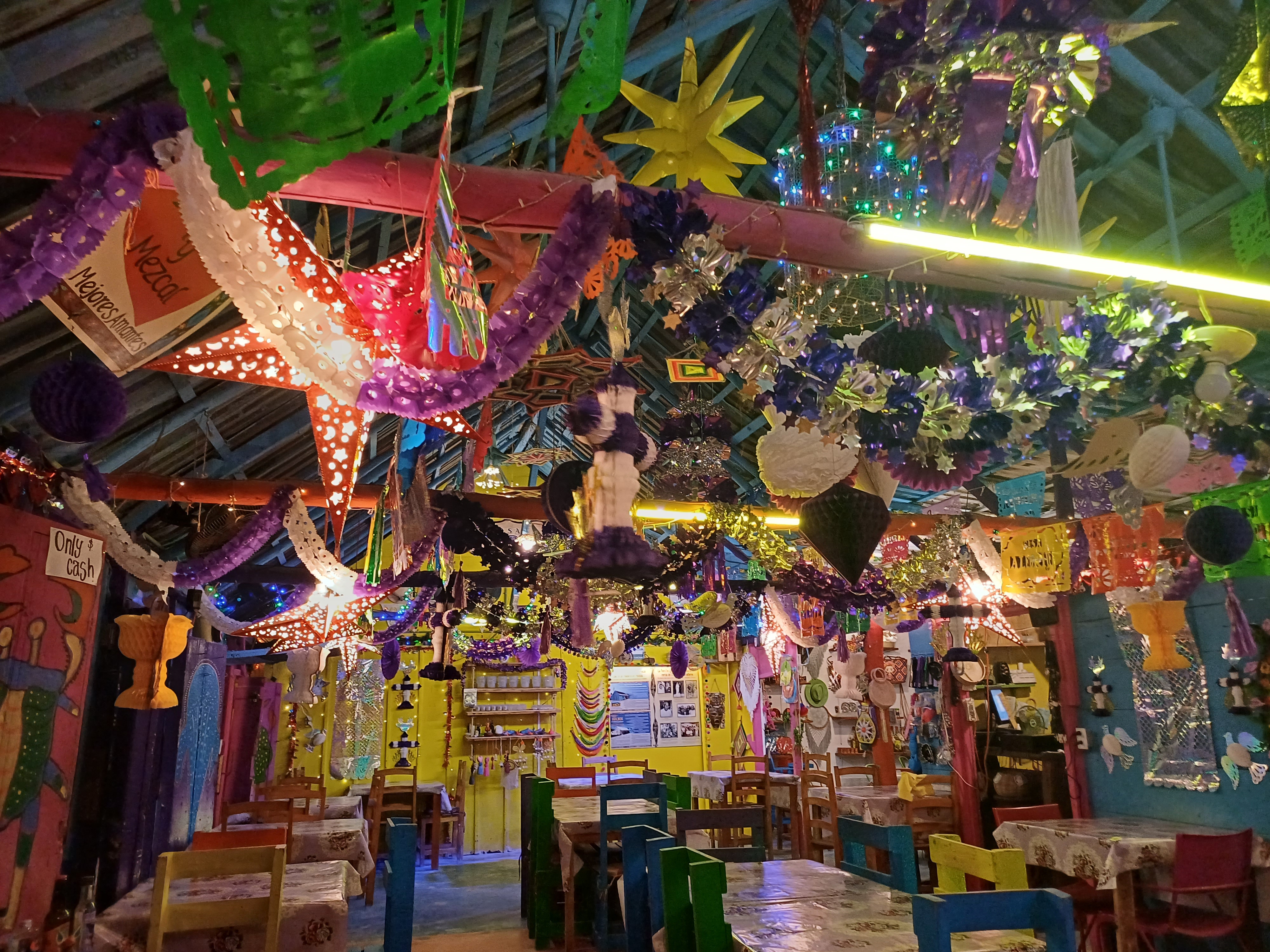 Casa Alebrije image 5