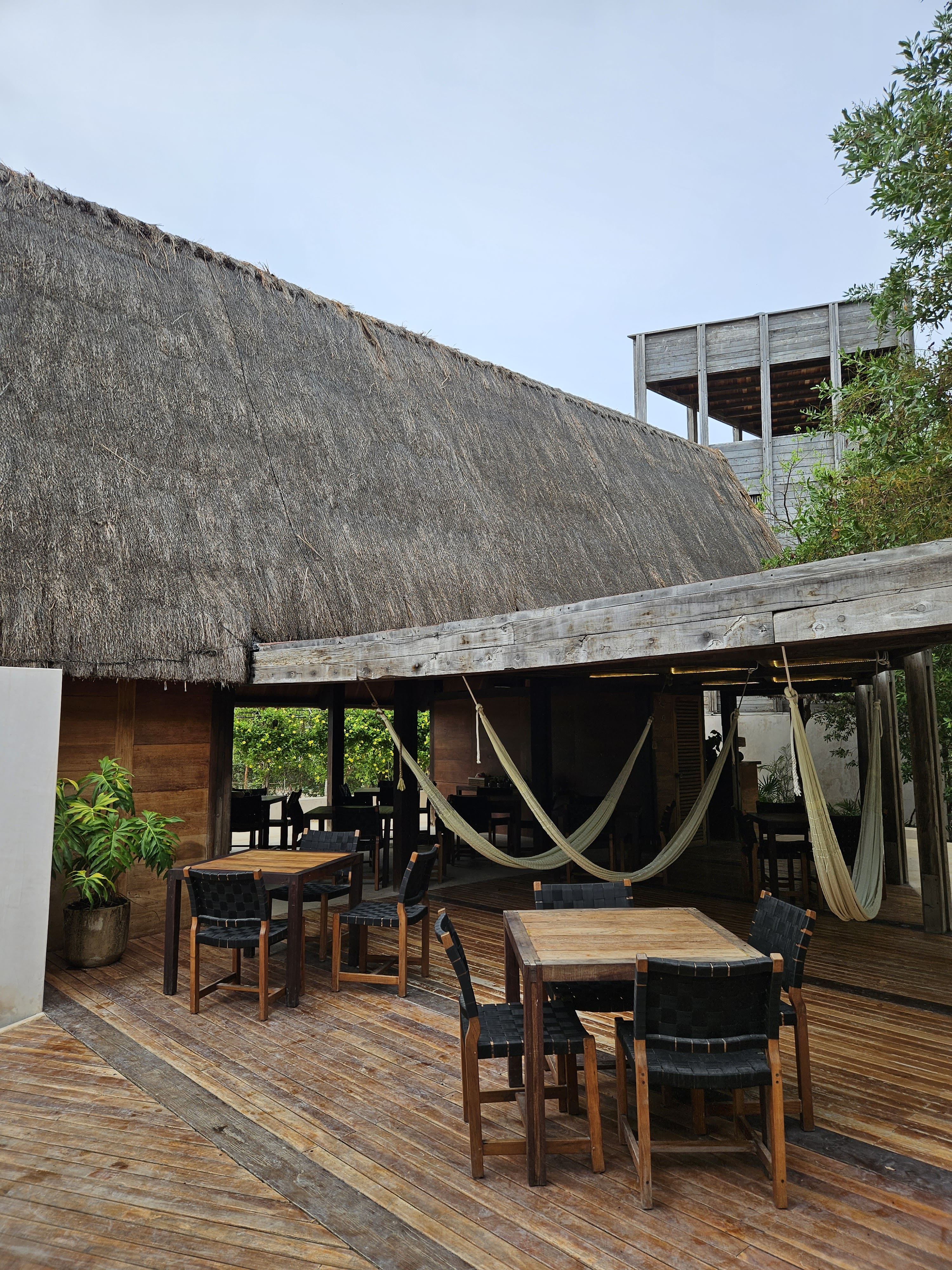 Punta Caliza - Restaurante image 1
