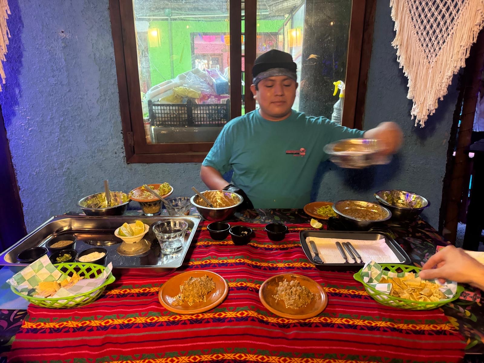 Axolote Holbox image 6