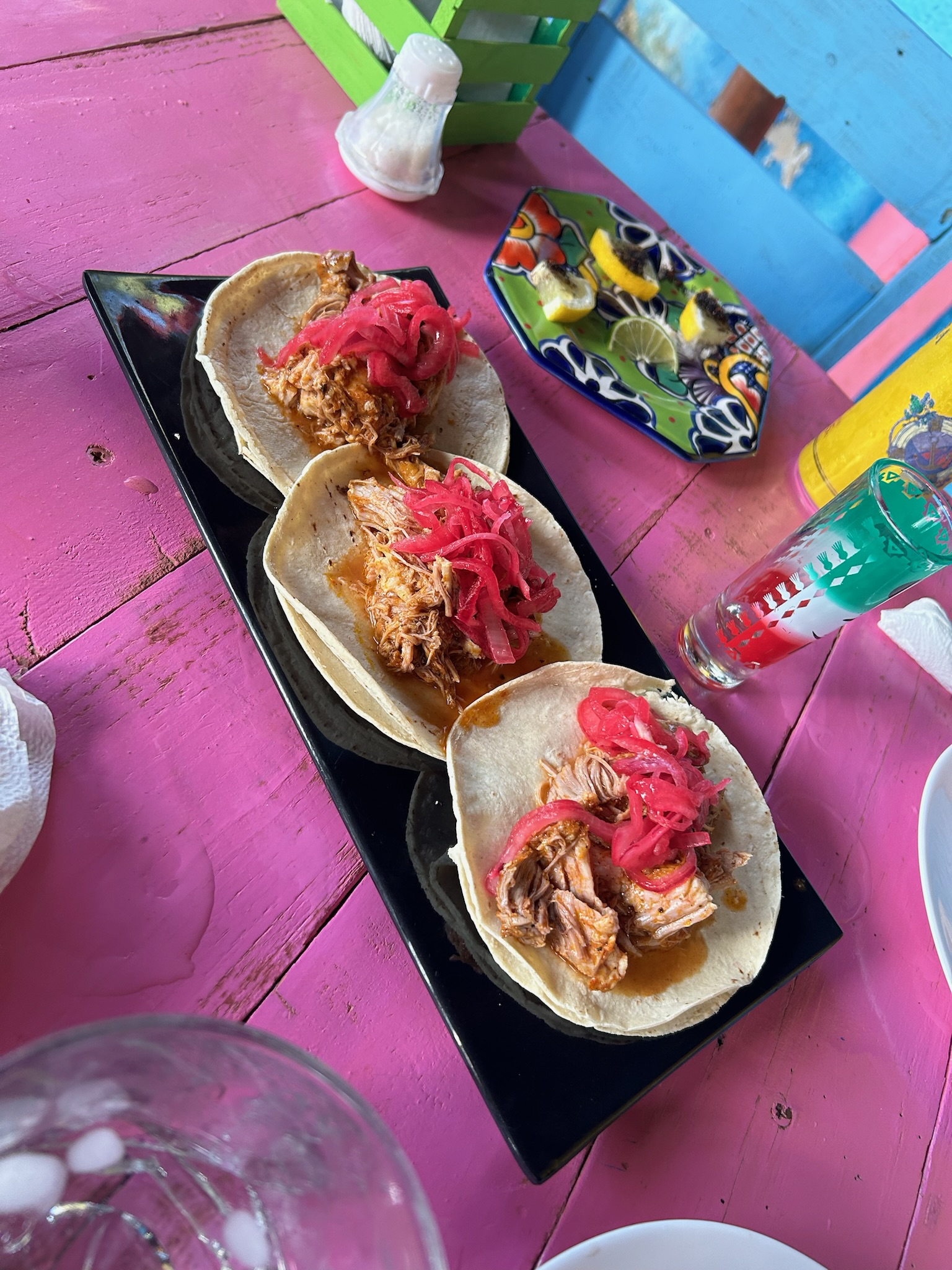 Axolote Holbox image 9