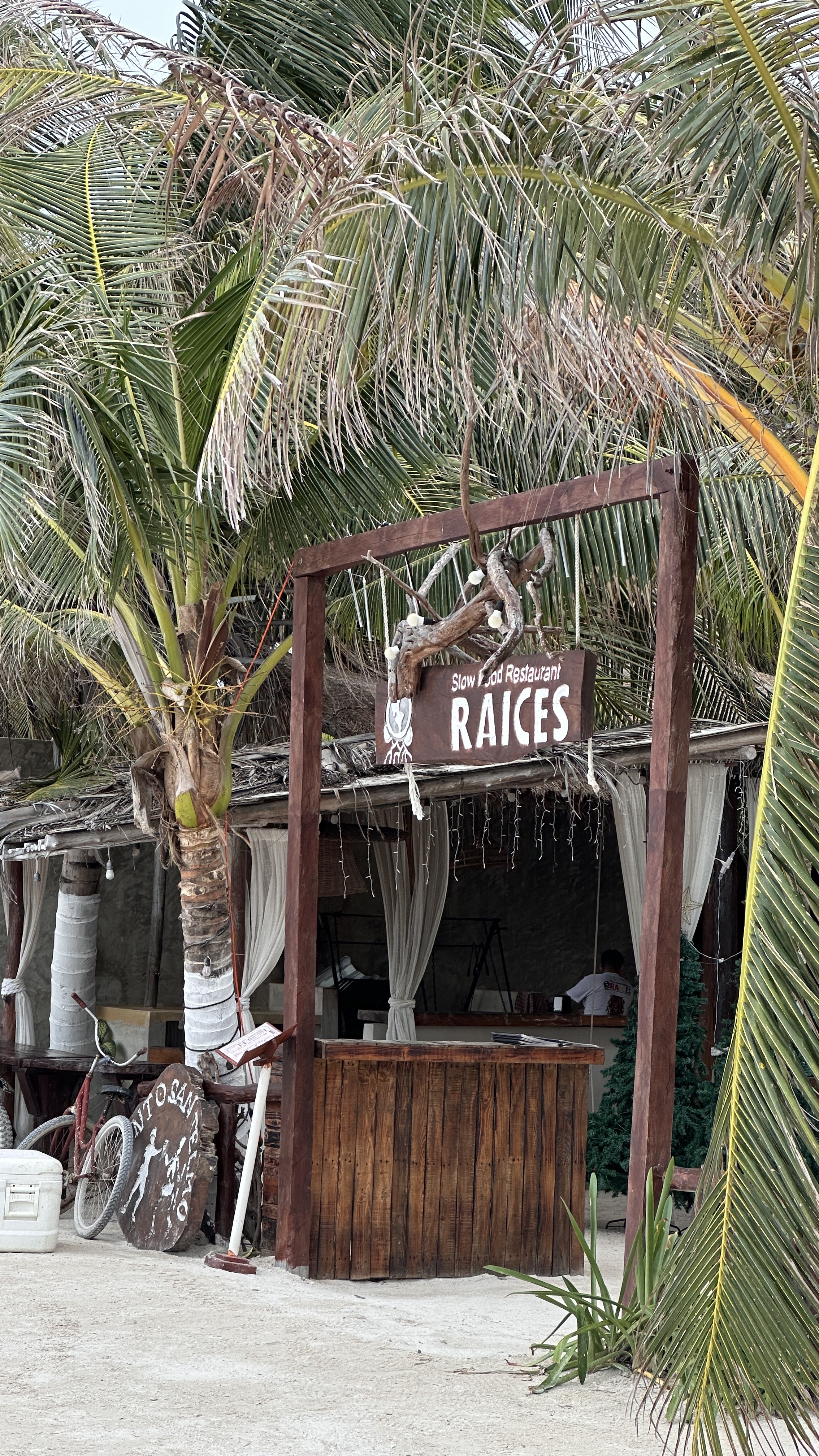 Raíces Slow Food Restaurante Holbox image 8