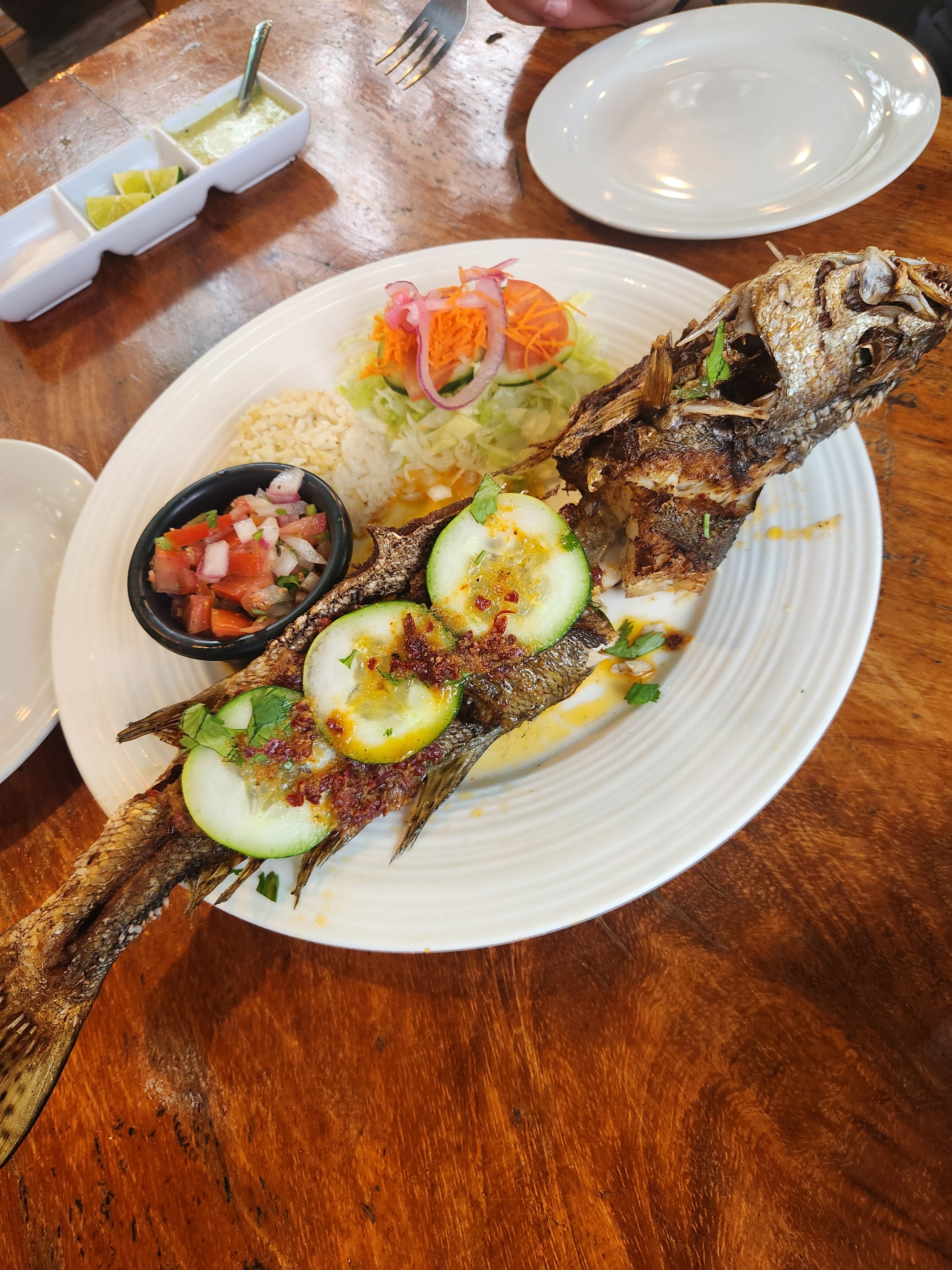 Raíces Slow Food Restaurante Holbox image 9