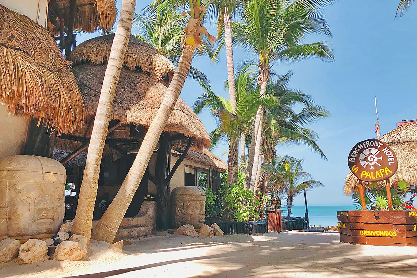 BEACH BAR LA PALAPA image 3