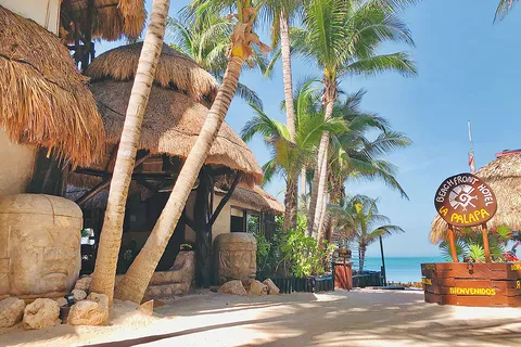 BEACH BAR LA PALAPA image 3