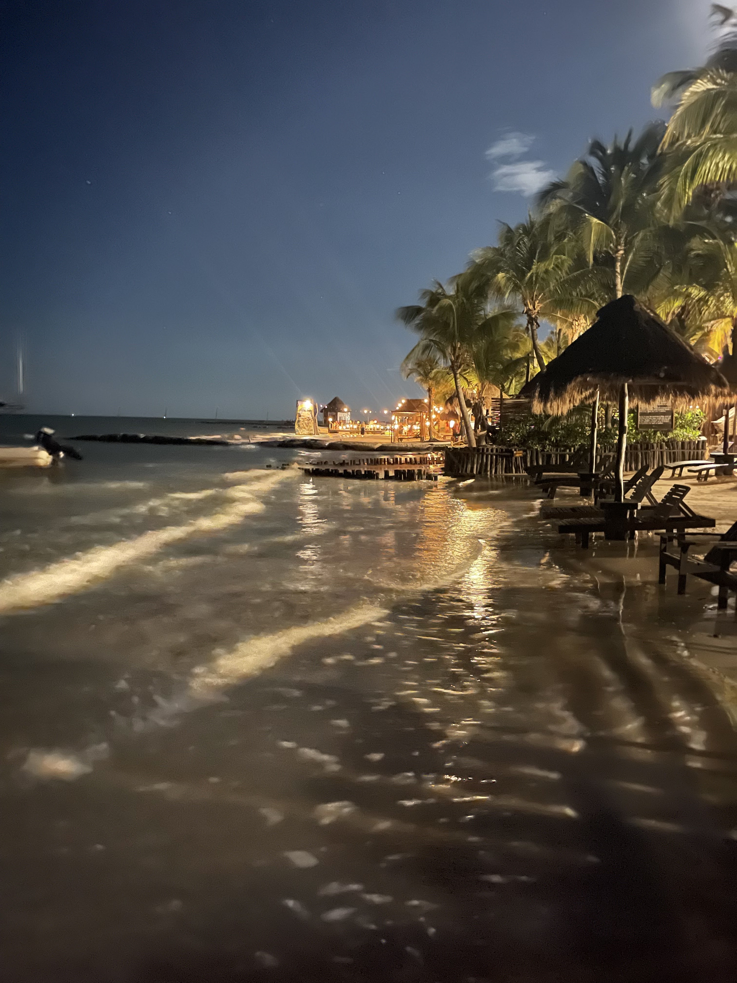 BEACH BAR LA PALAPA image 9