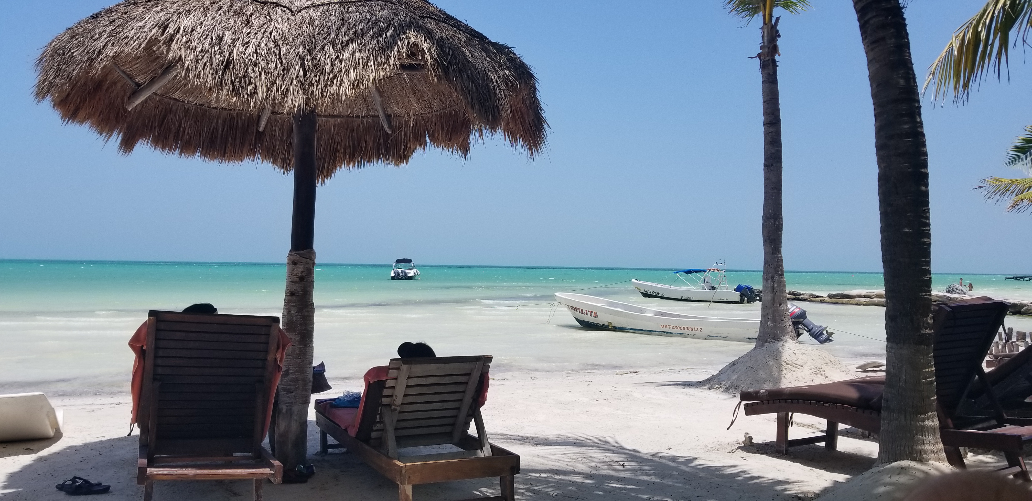 BEACH BAR LA PALAPA image 10