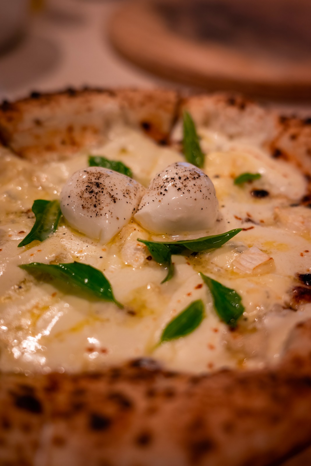 Quartieri Holbox image 2