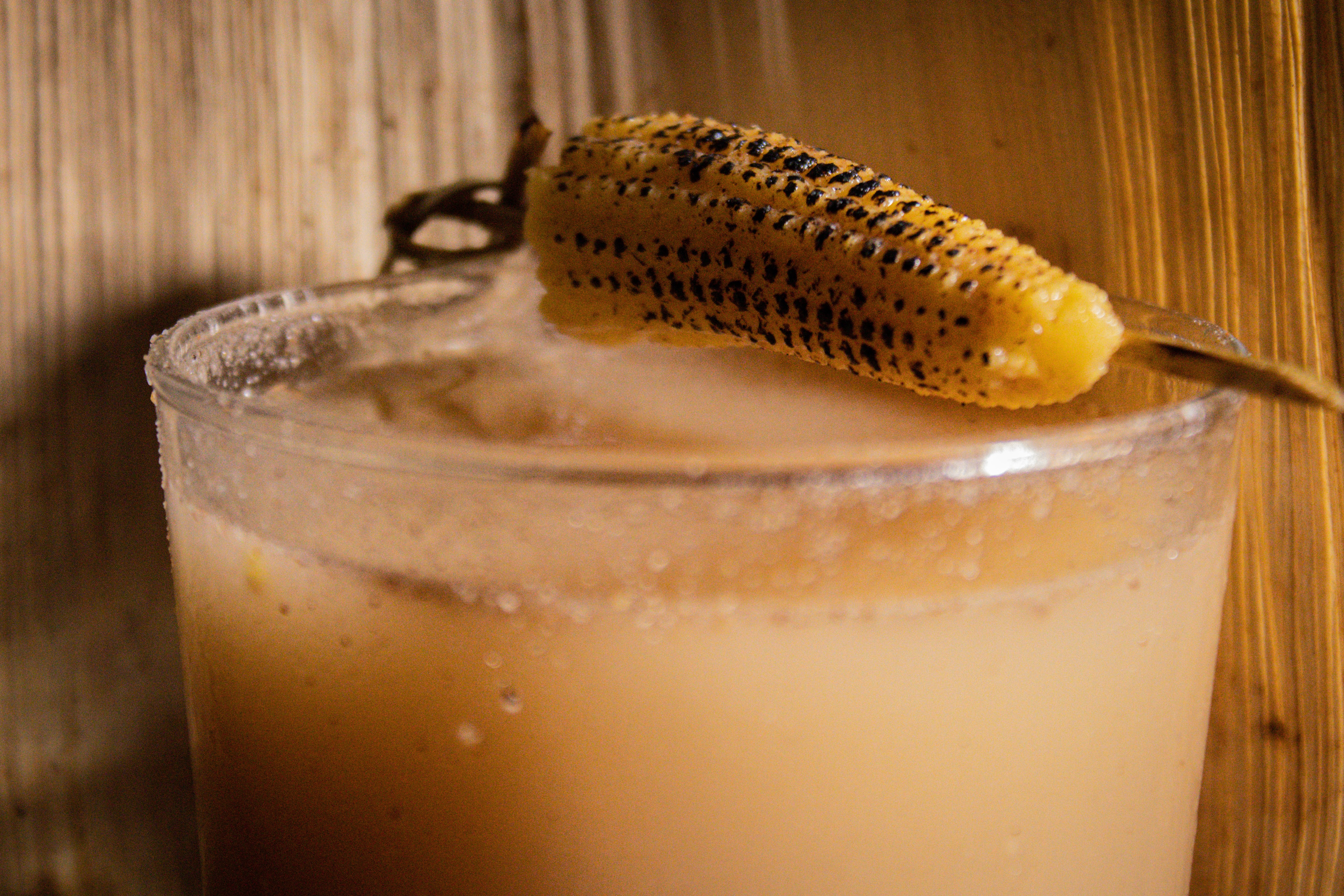 Aluxes Holbox image 2