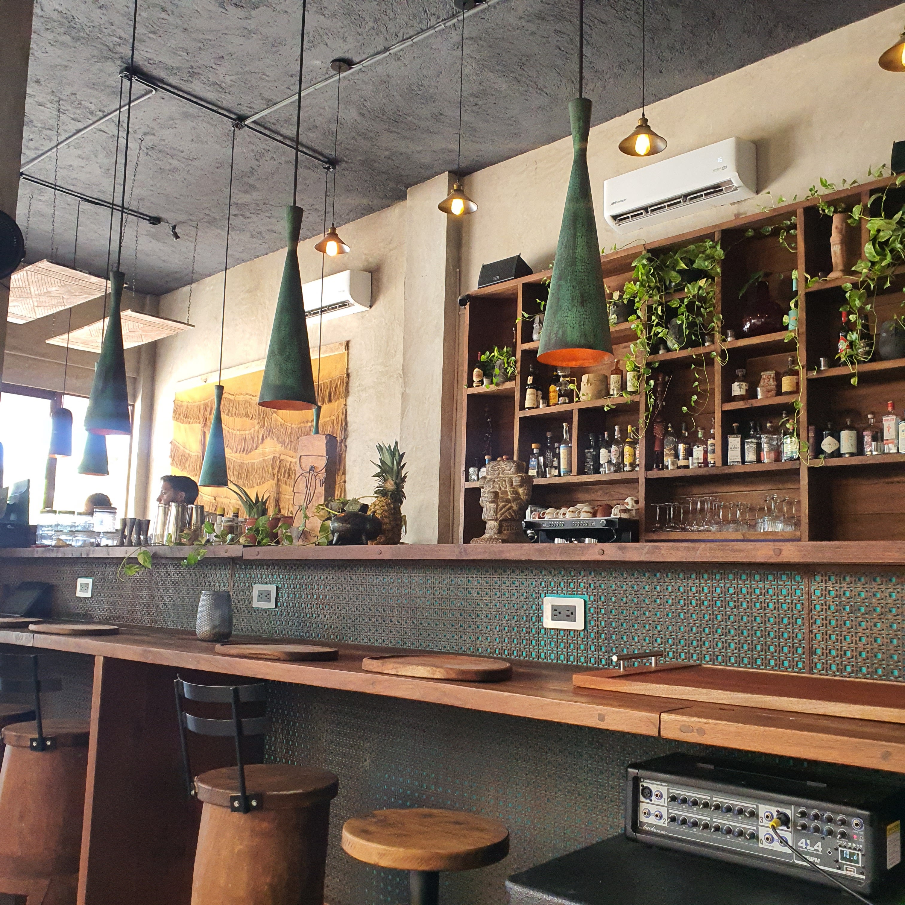 Aluxes Holbox image 3