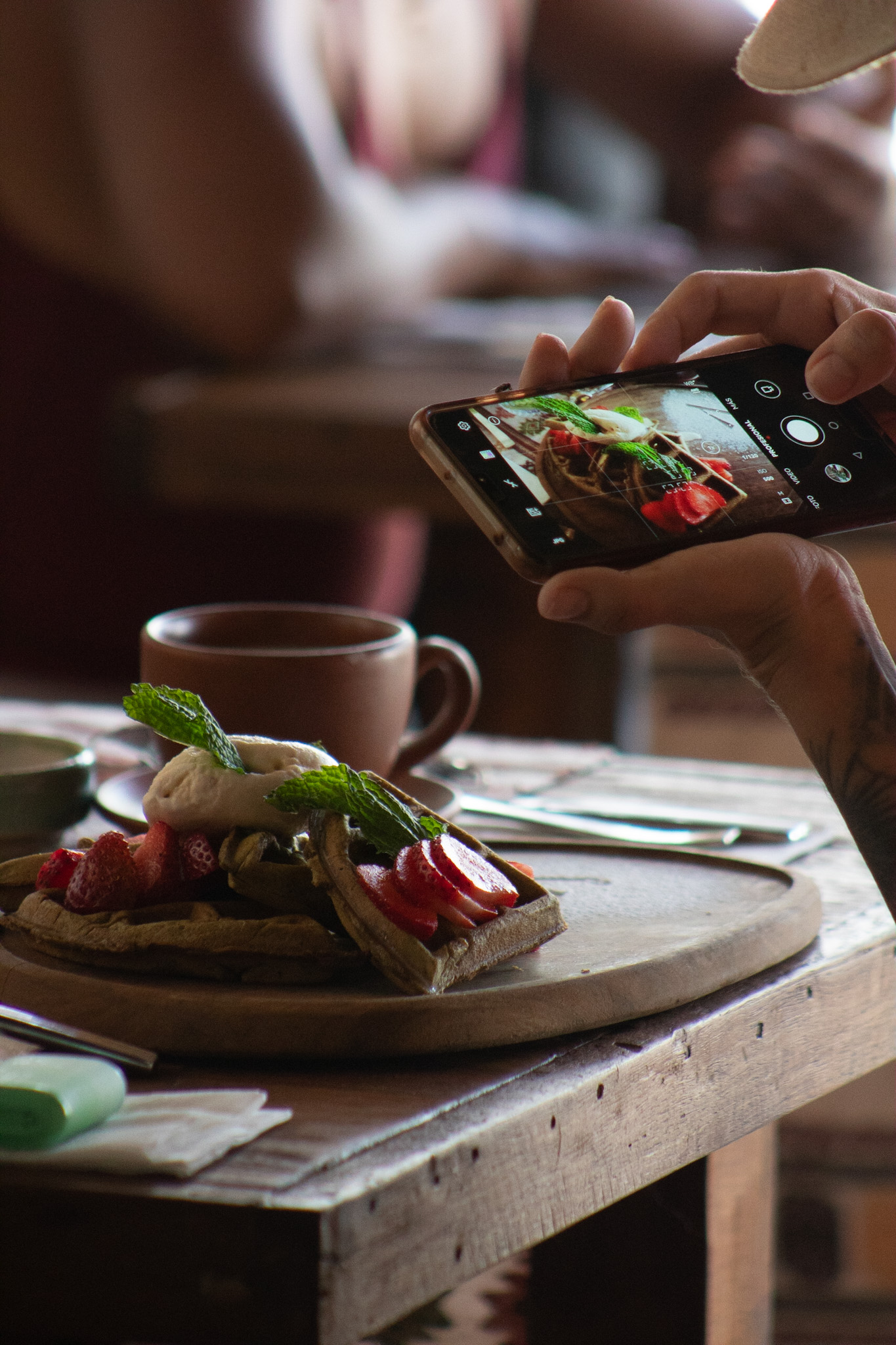 Aluxes Holbox image 8