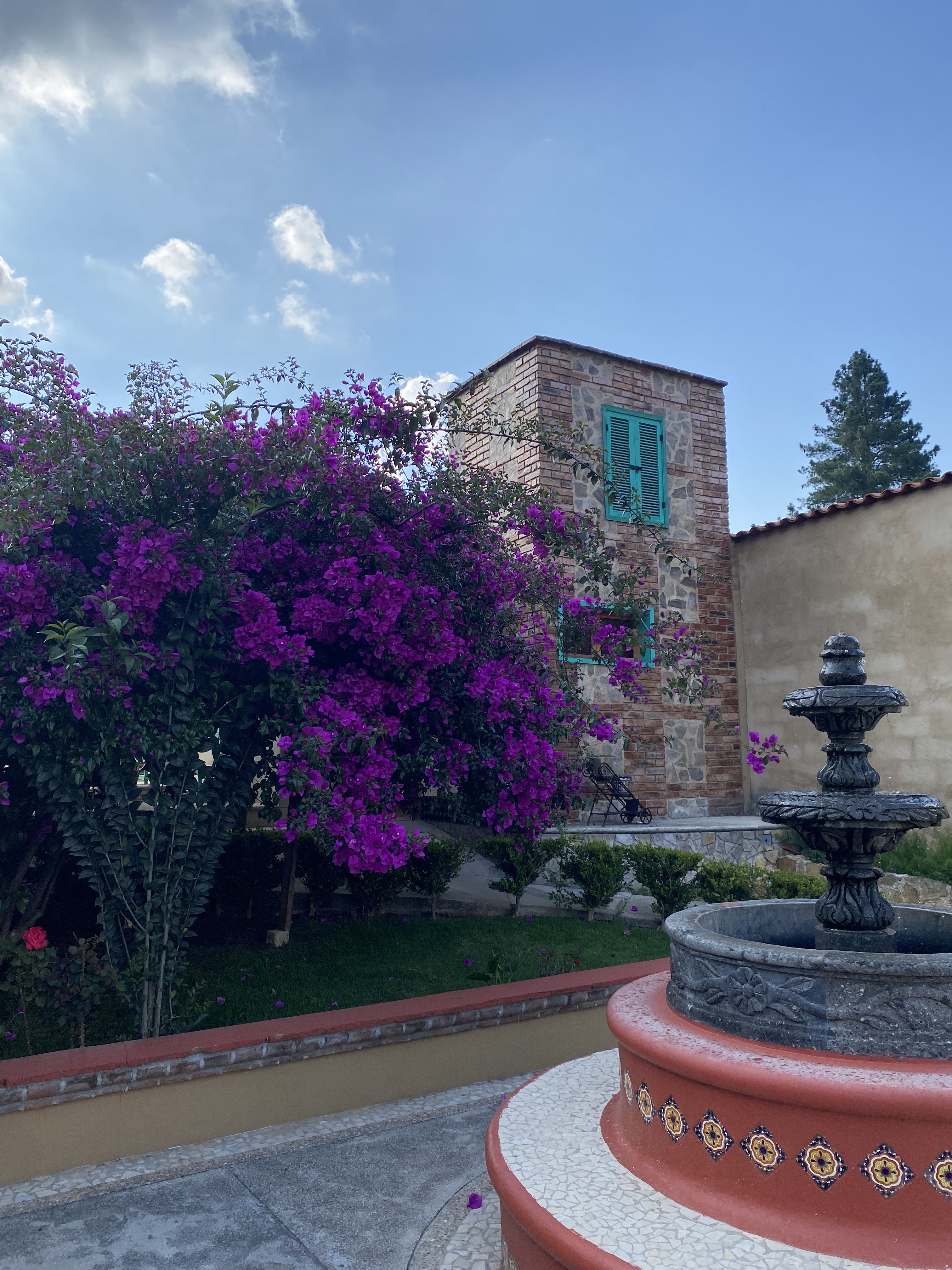 ASADOR LA SALSA VERDE image 8