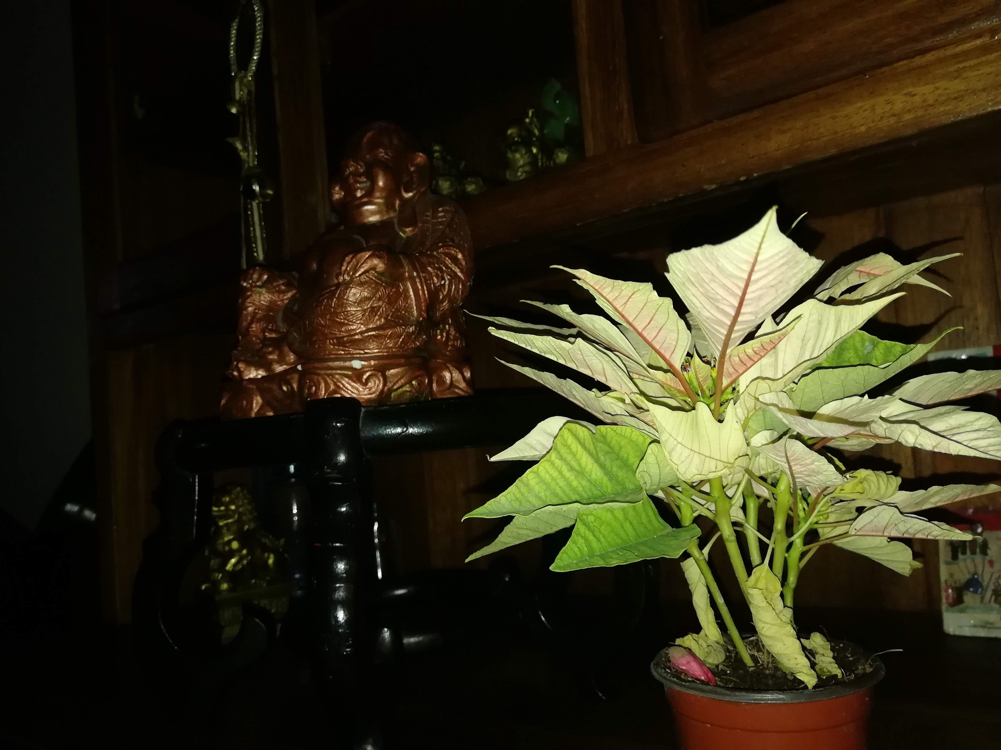 Restaurant "Chuong Kon" image 6