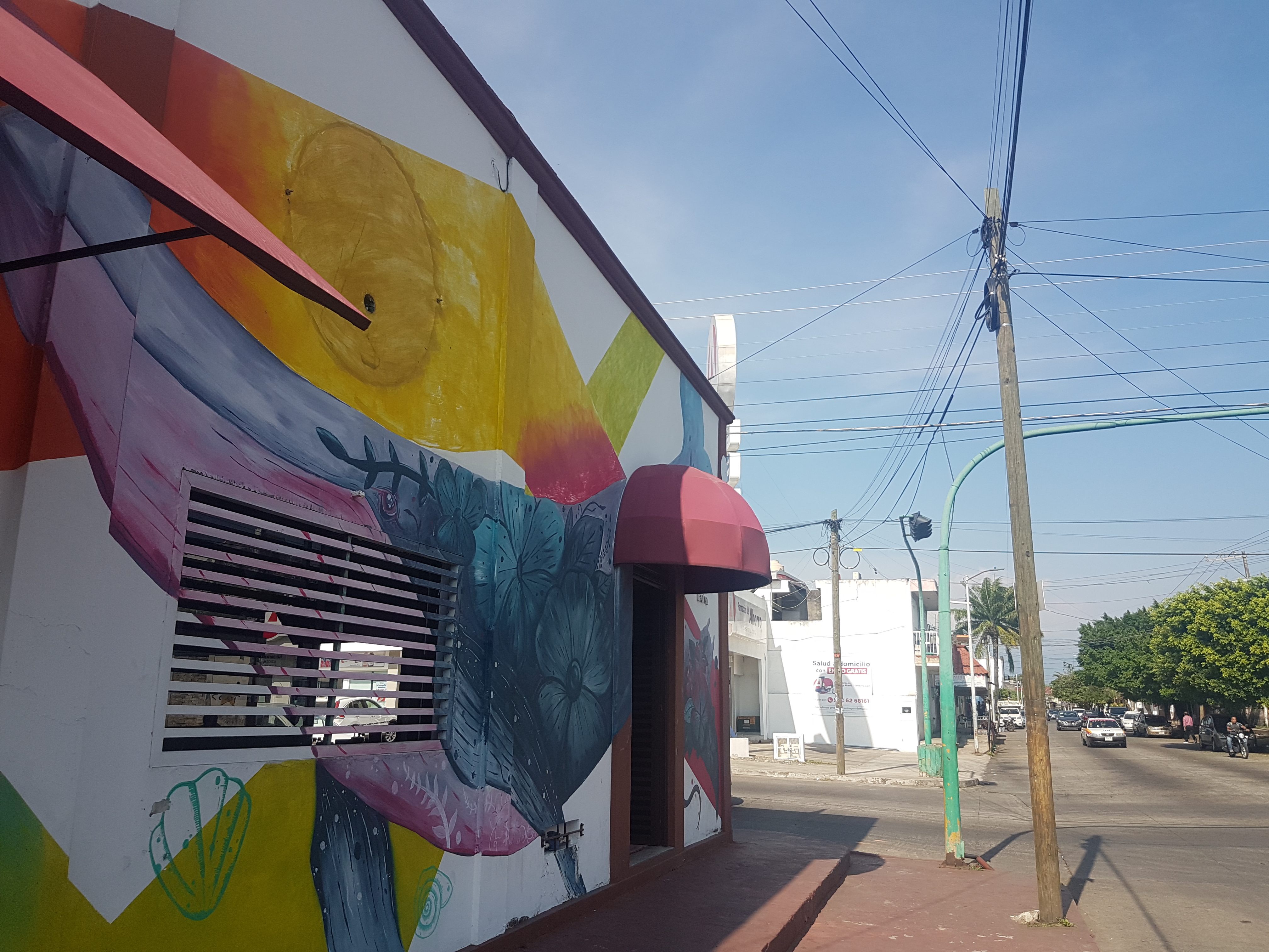 Mr. Ray Fish Tacos image 8