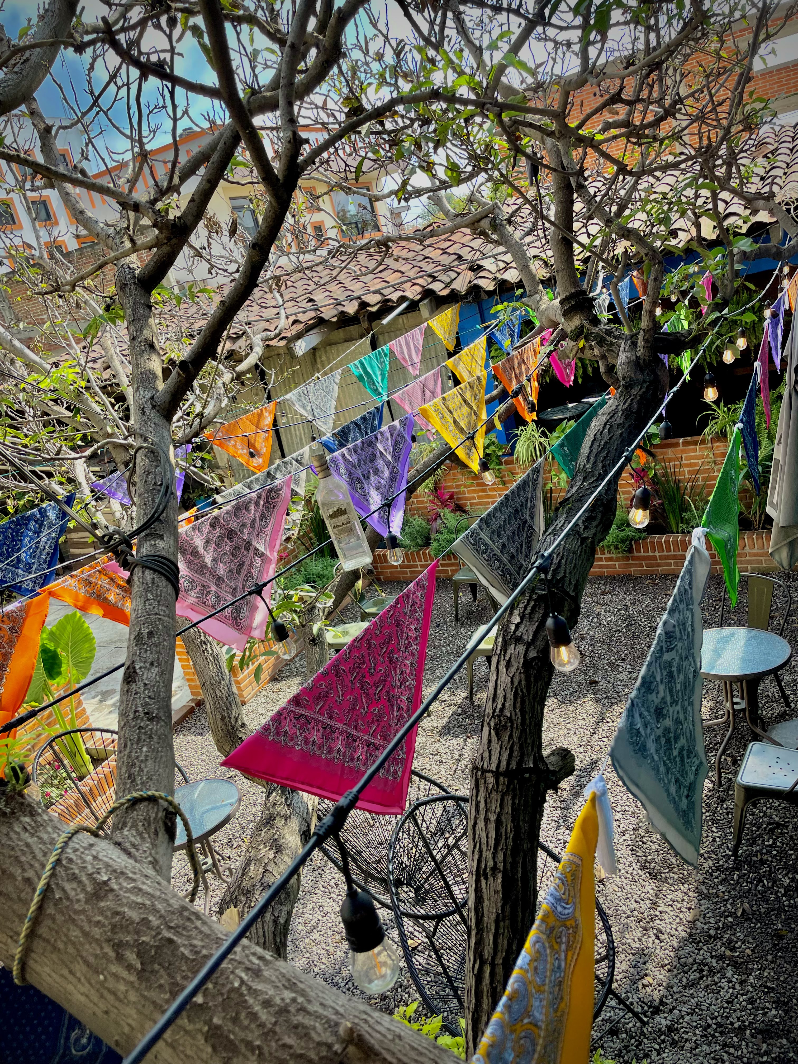 Restaurante La Costera image 8