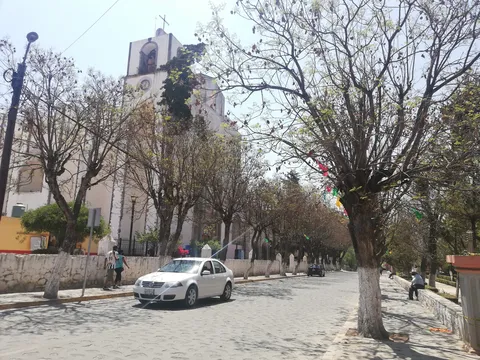 La Toña image 8
