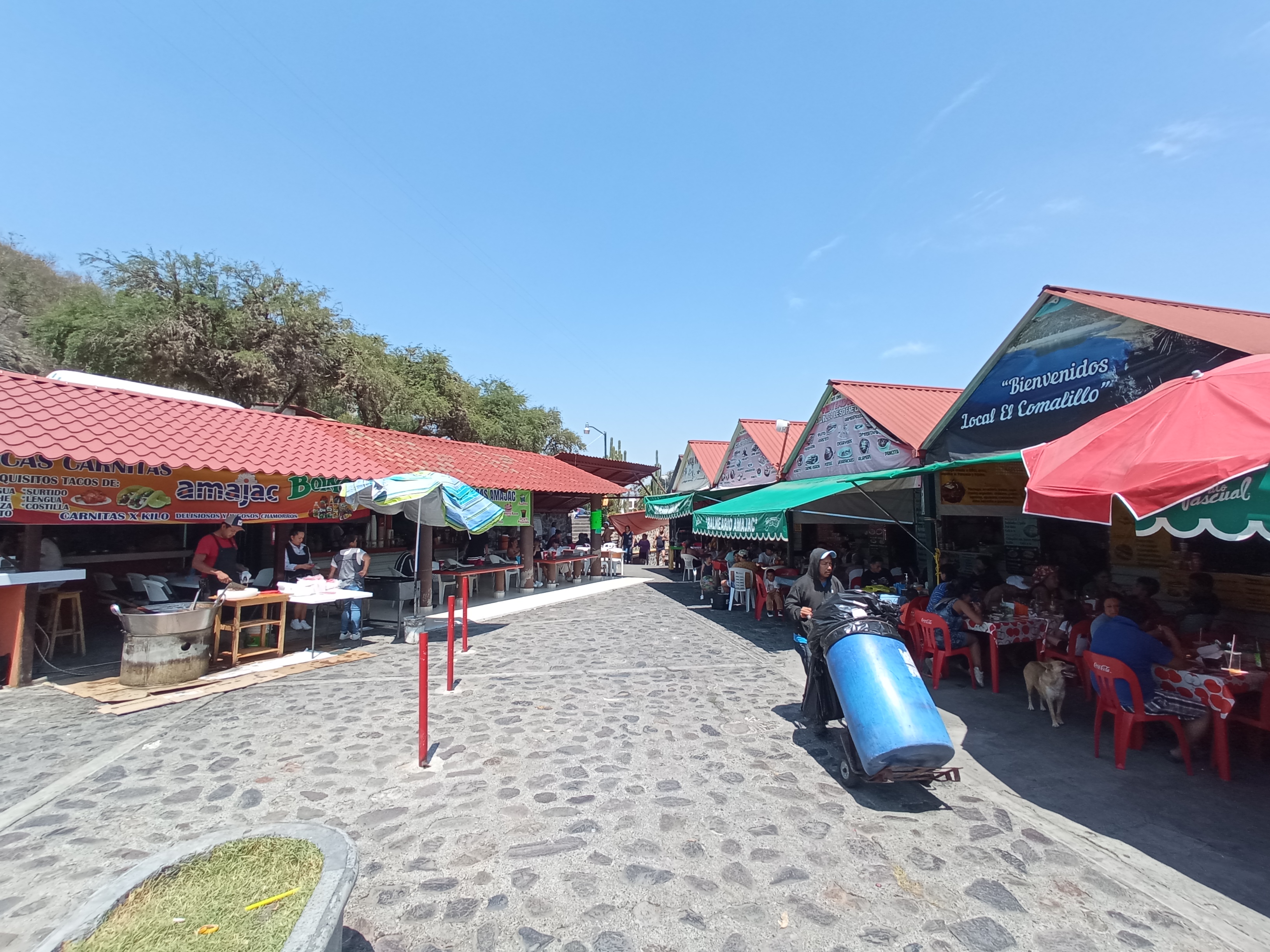 Restaurante Amajac e image 6