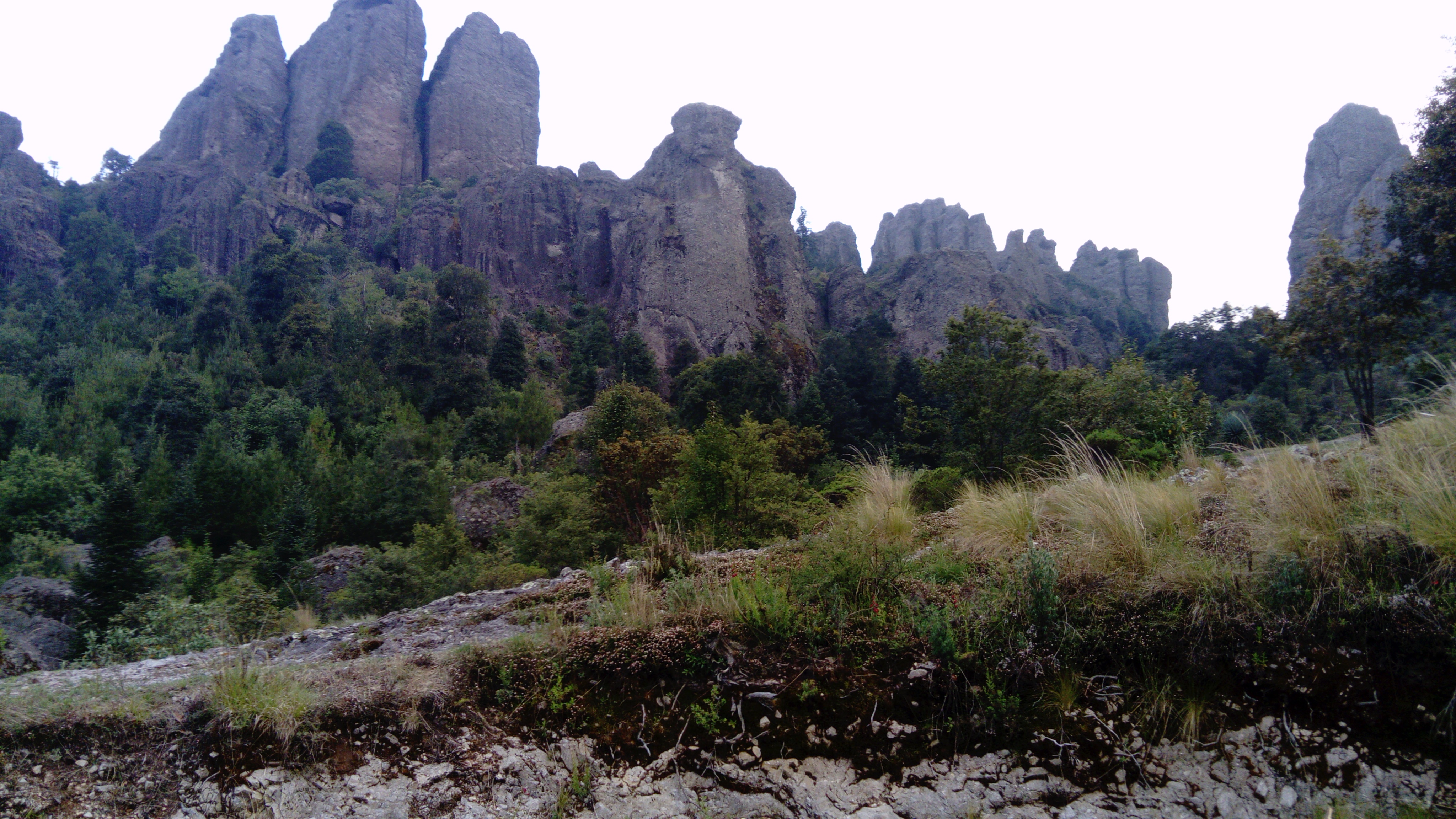 Bruno Campero Flores image 2