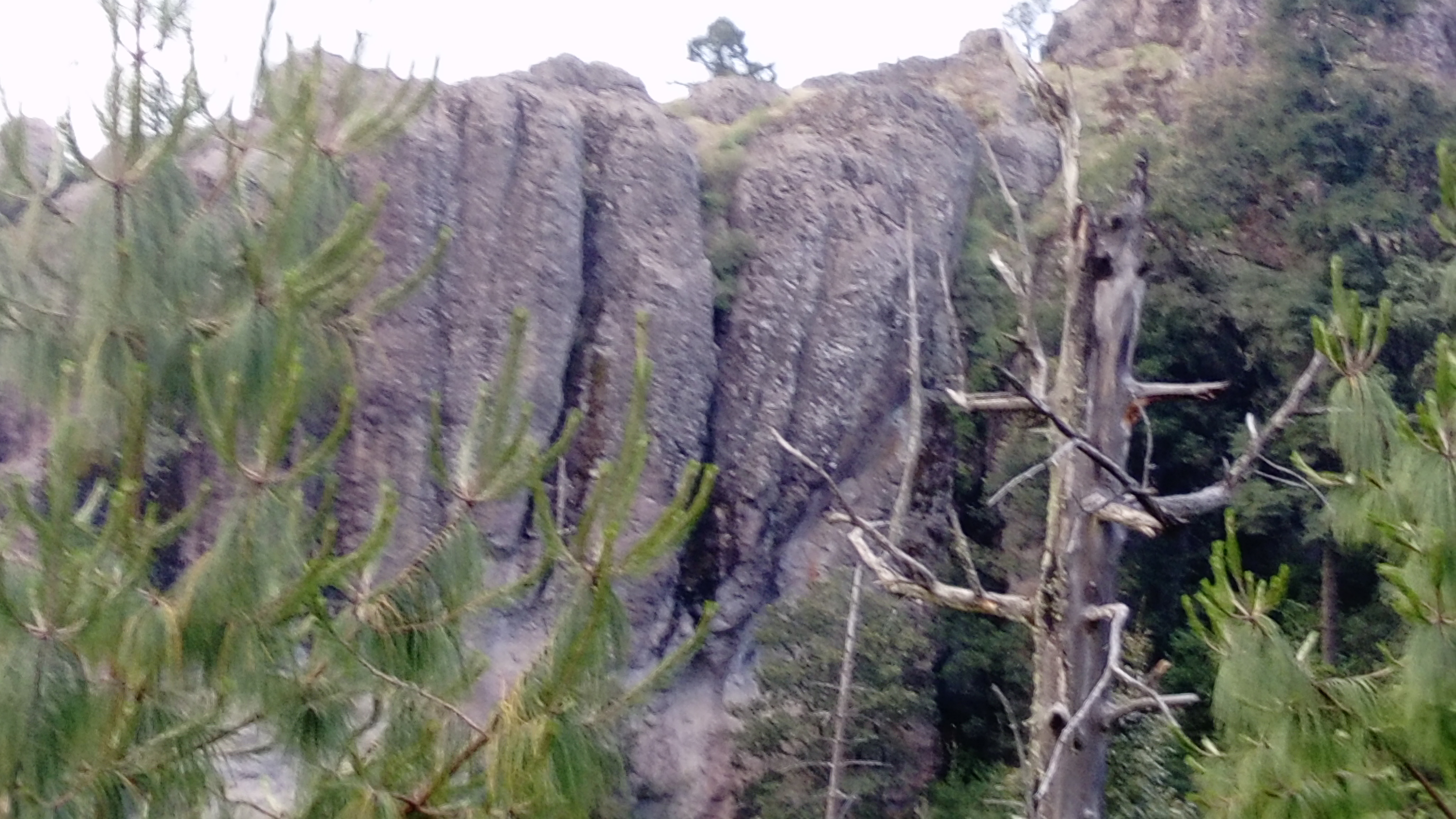 Bruno Campero Flores image 3